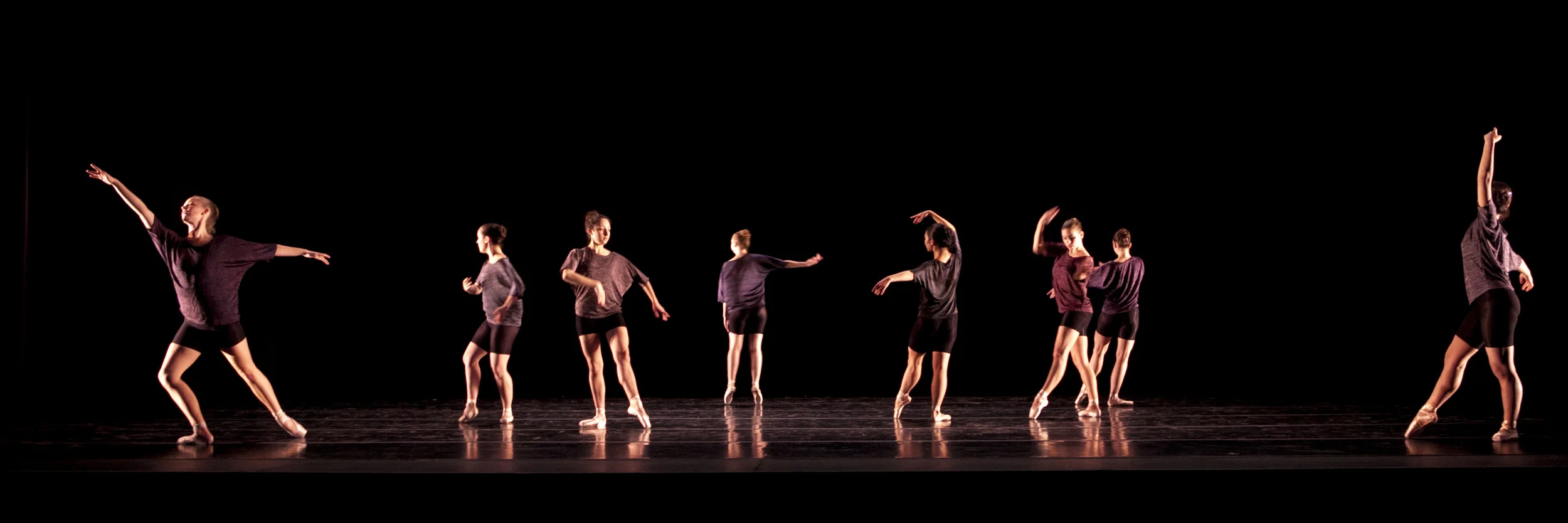 168414_november_dance366.jpg