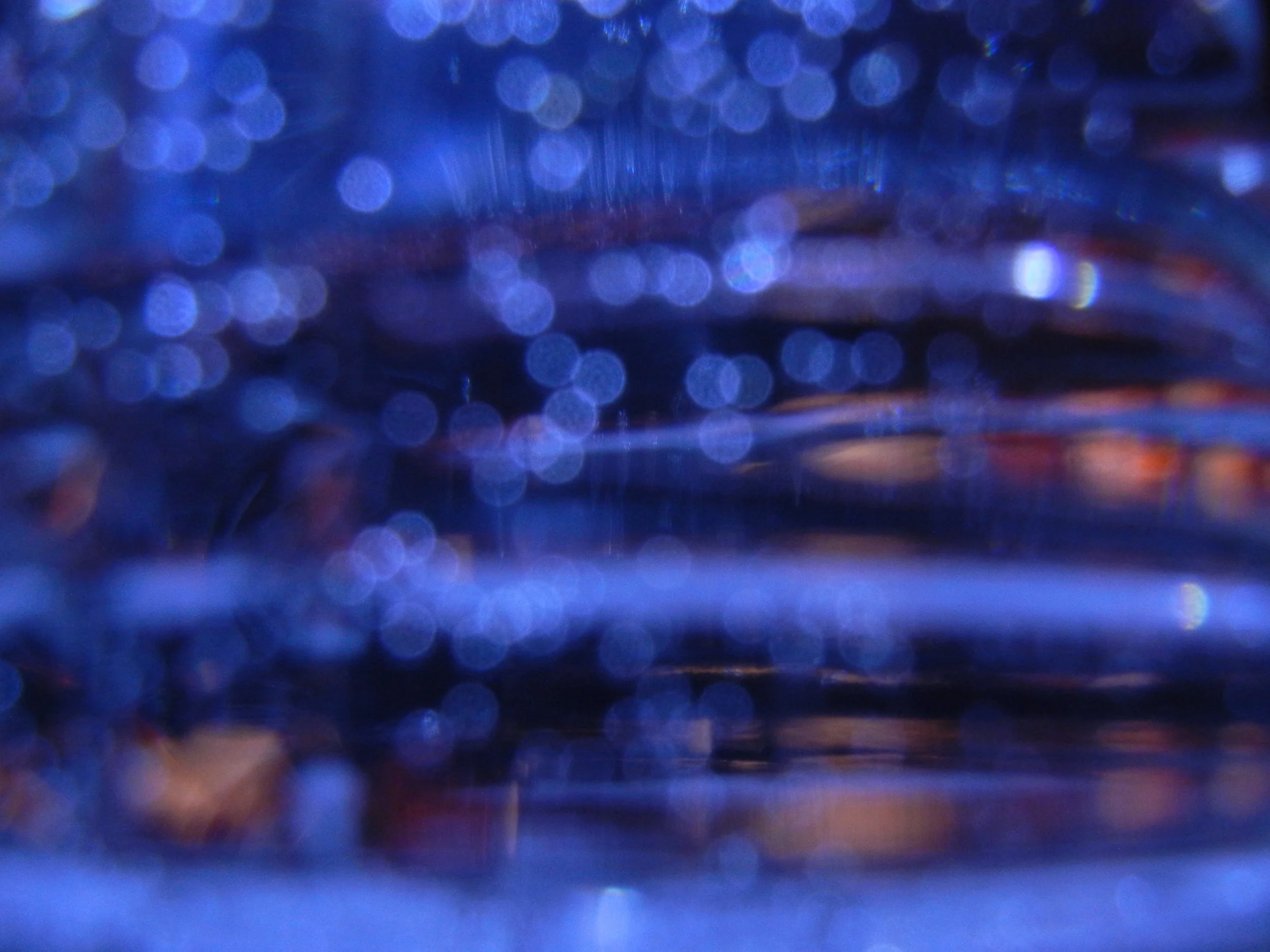DSCN0420.JPG.jpg