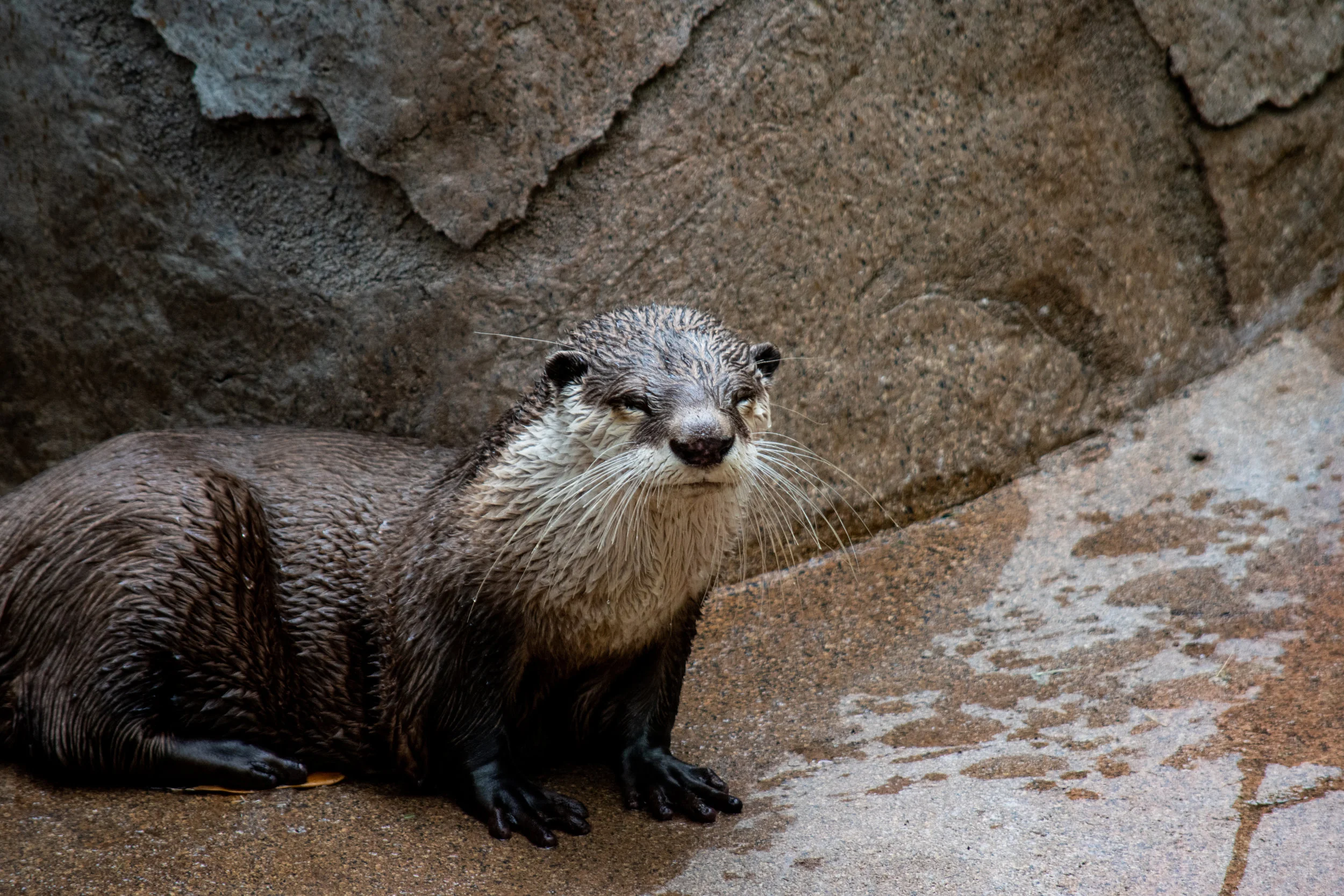 zoo 70.jpg