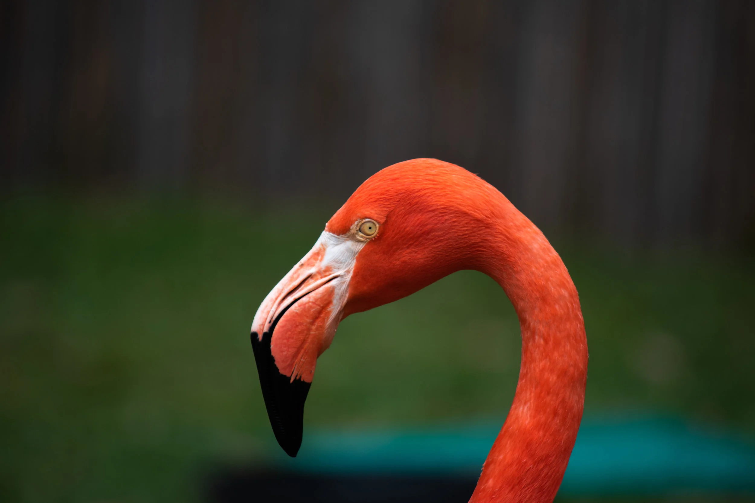 zoo 67.jpg