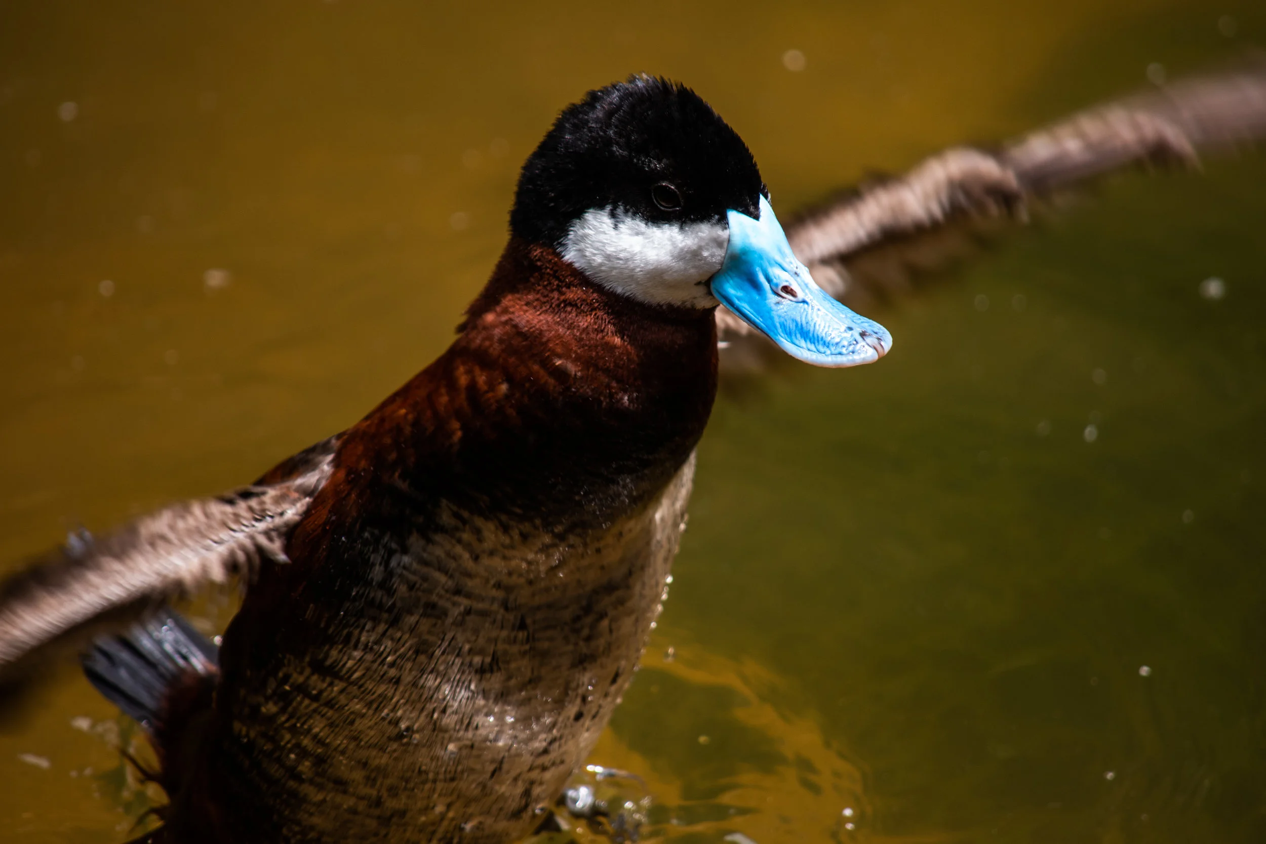 zoo 44.jpg