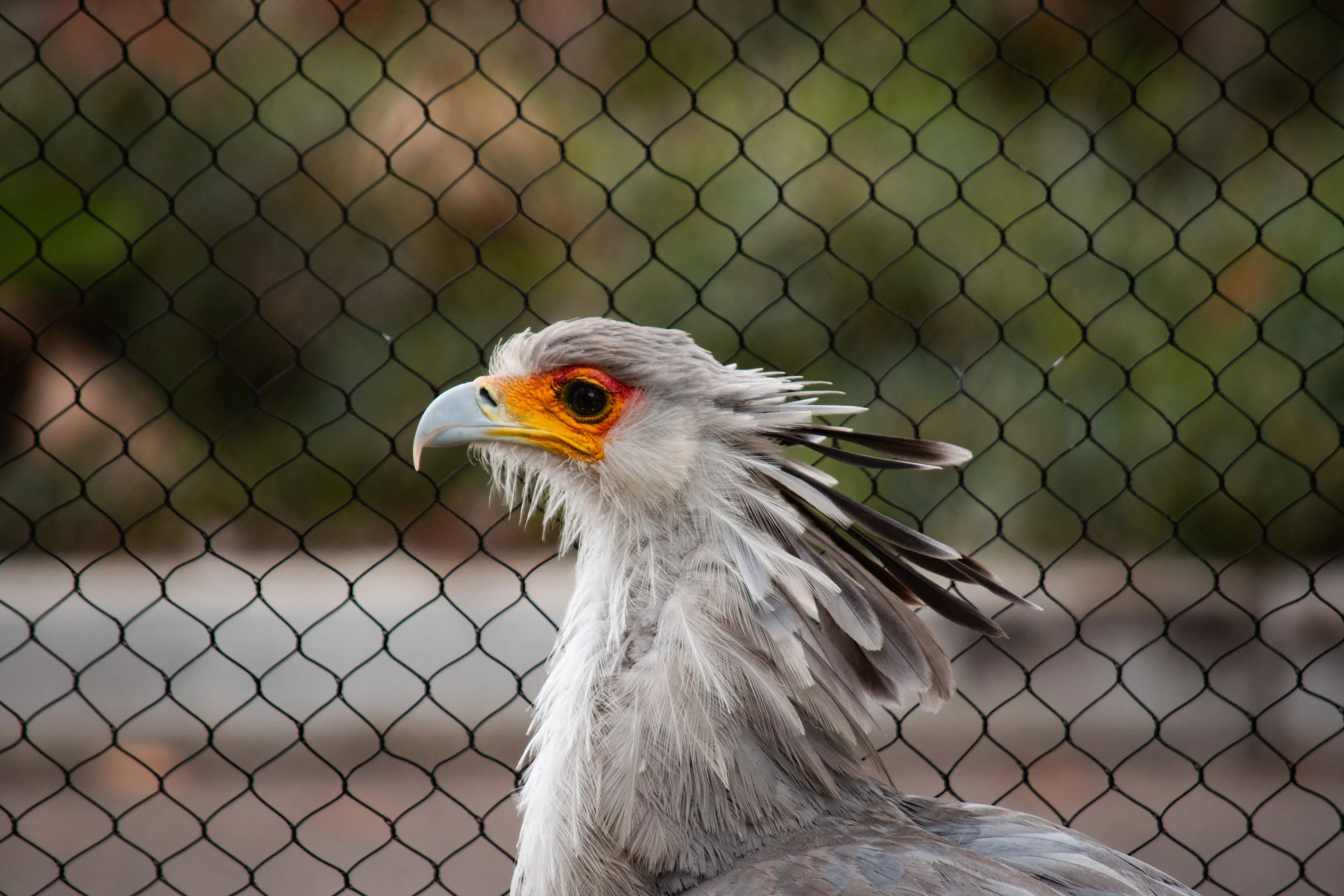 zoo 30.jpg