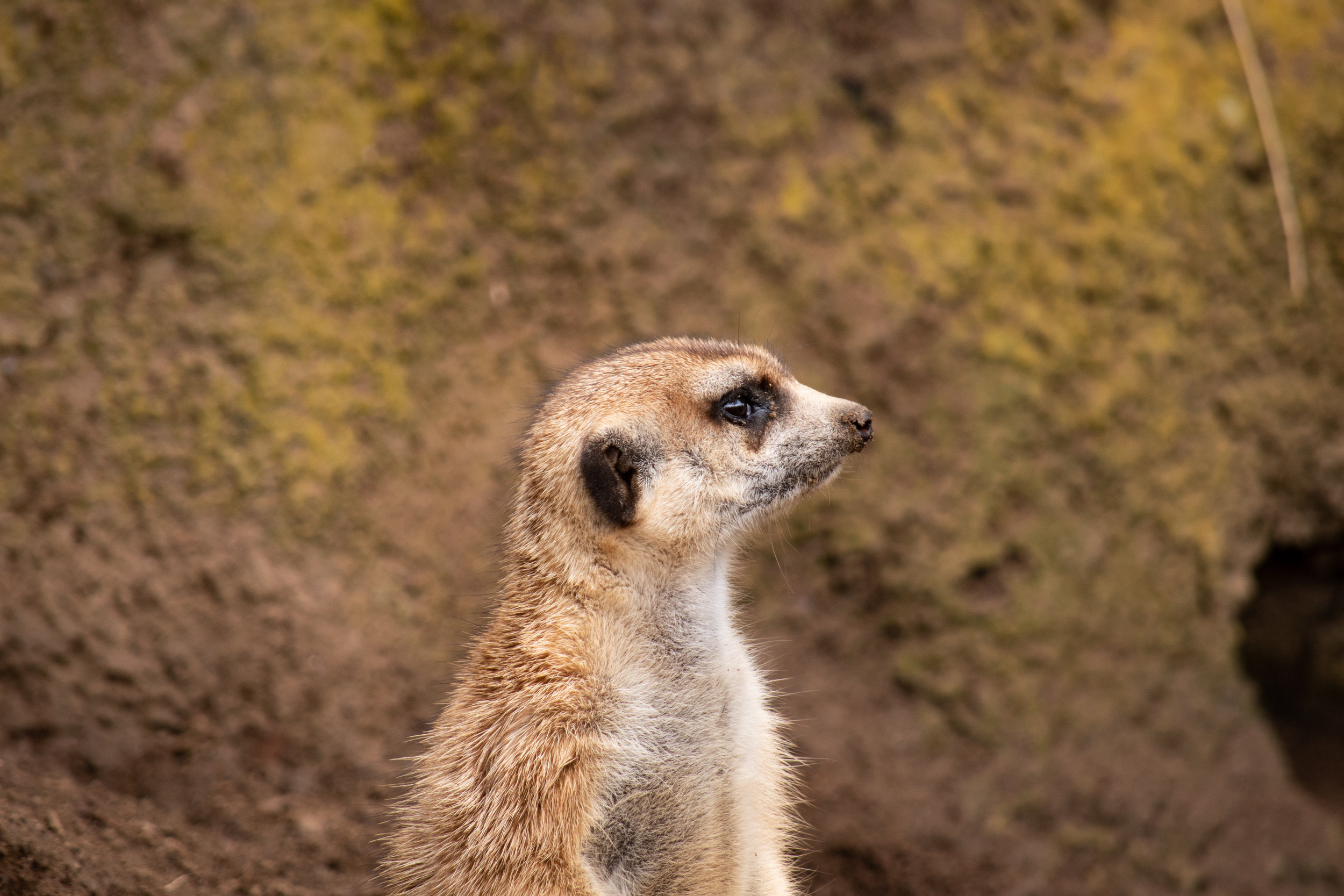 zoo 27.jpg