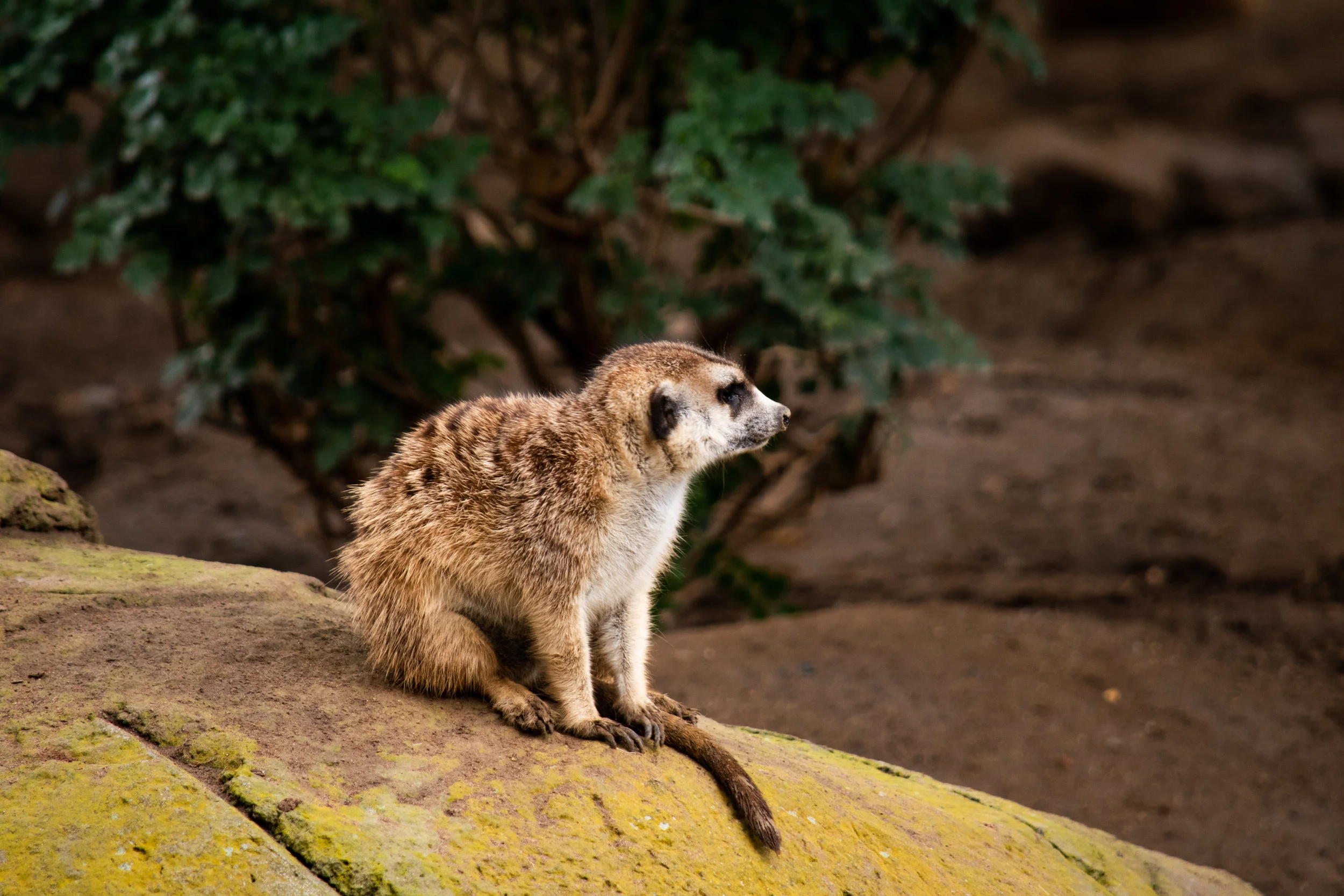 zoo 25.jpg