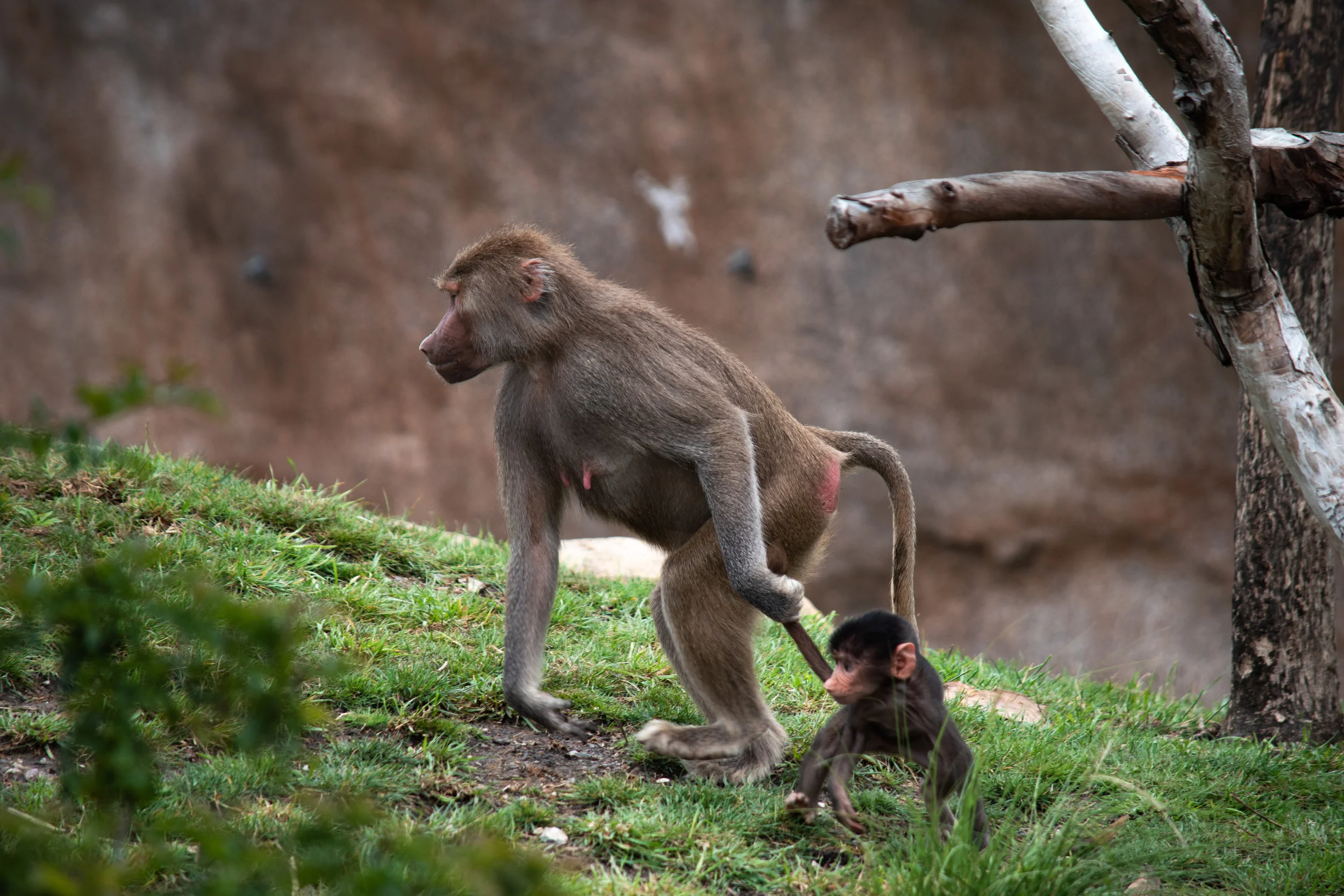 zoo 11.jpg