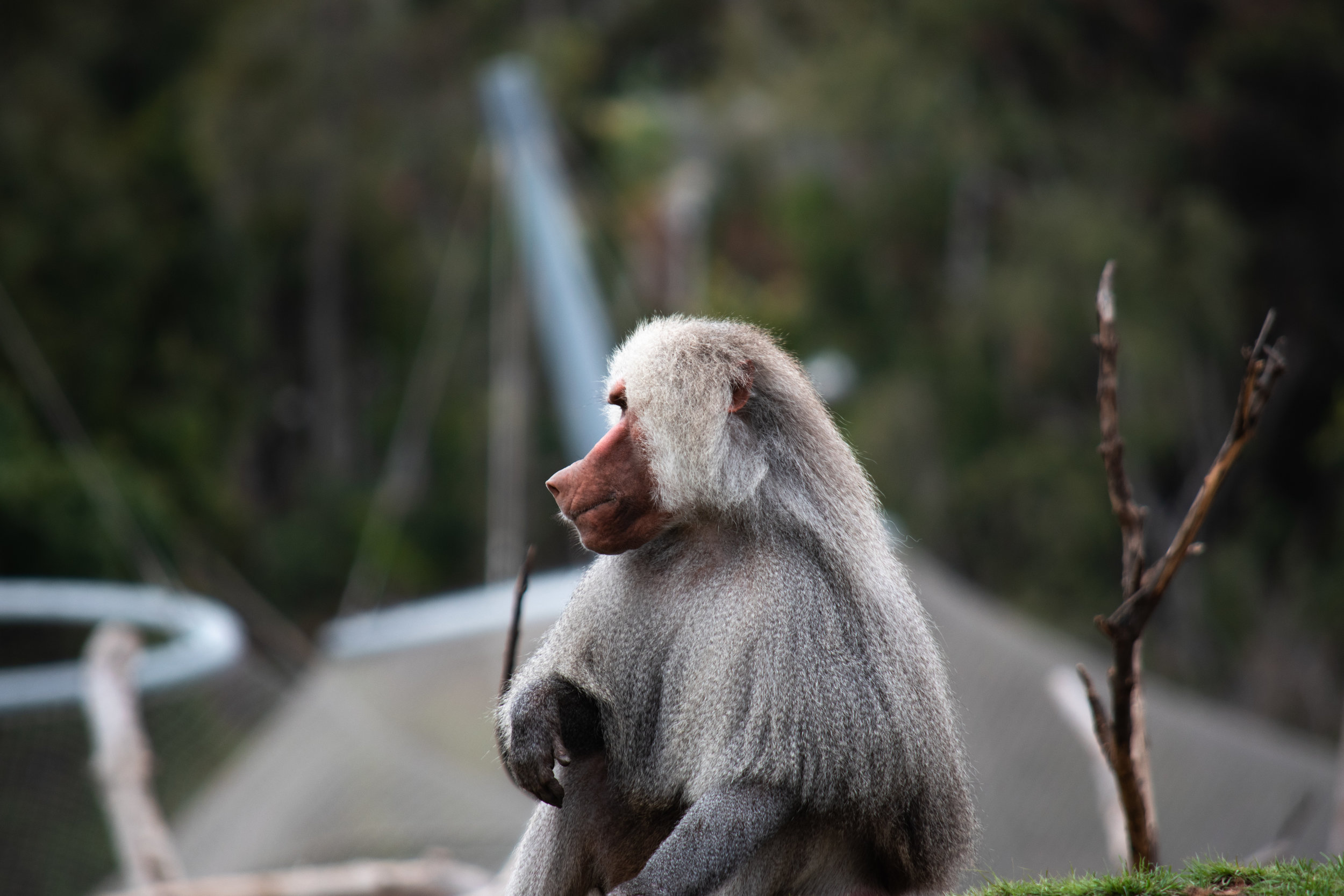 zoo 7.jpg