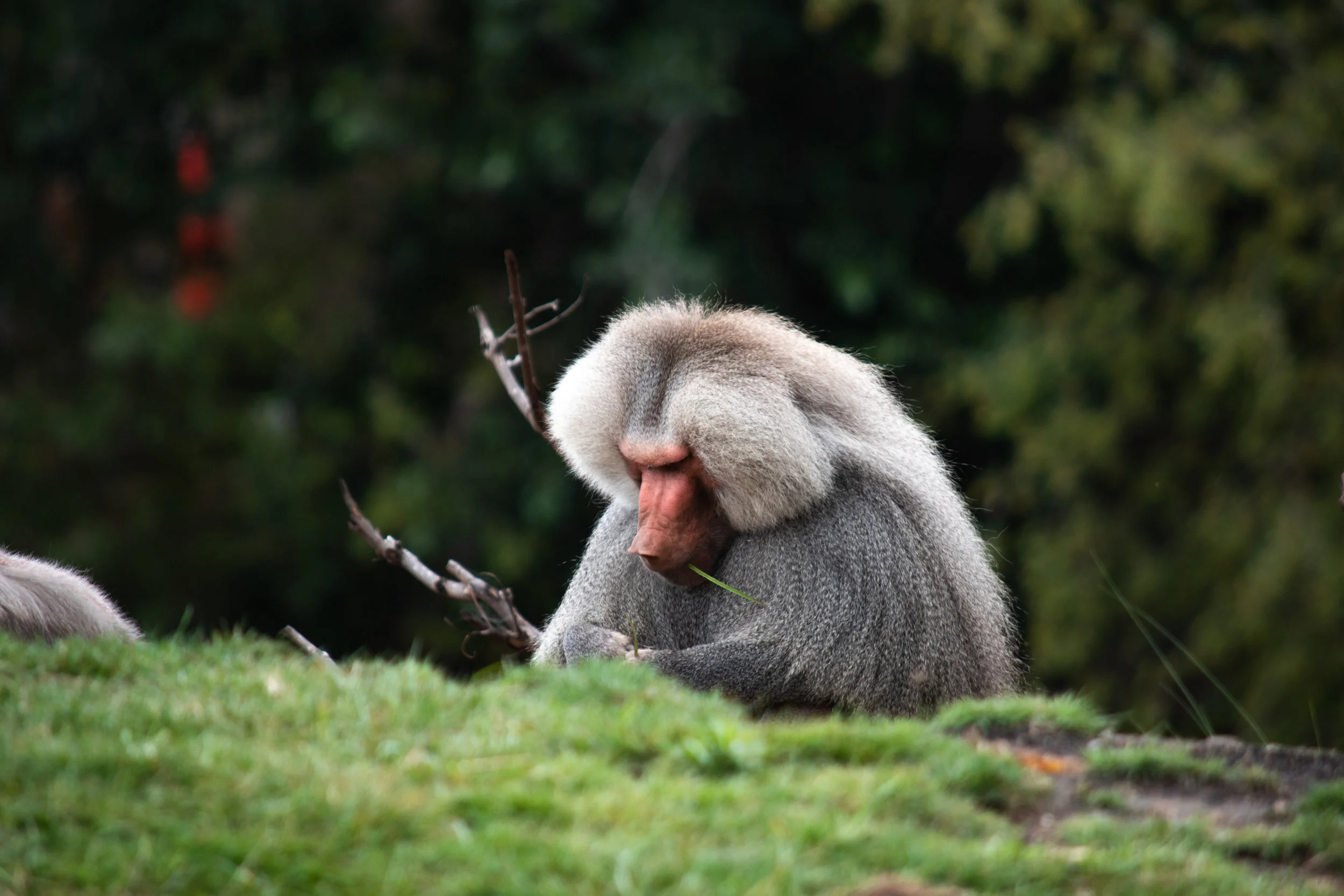 zoo 6.jpg