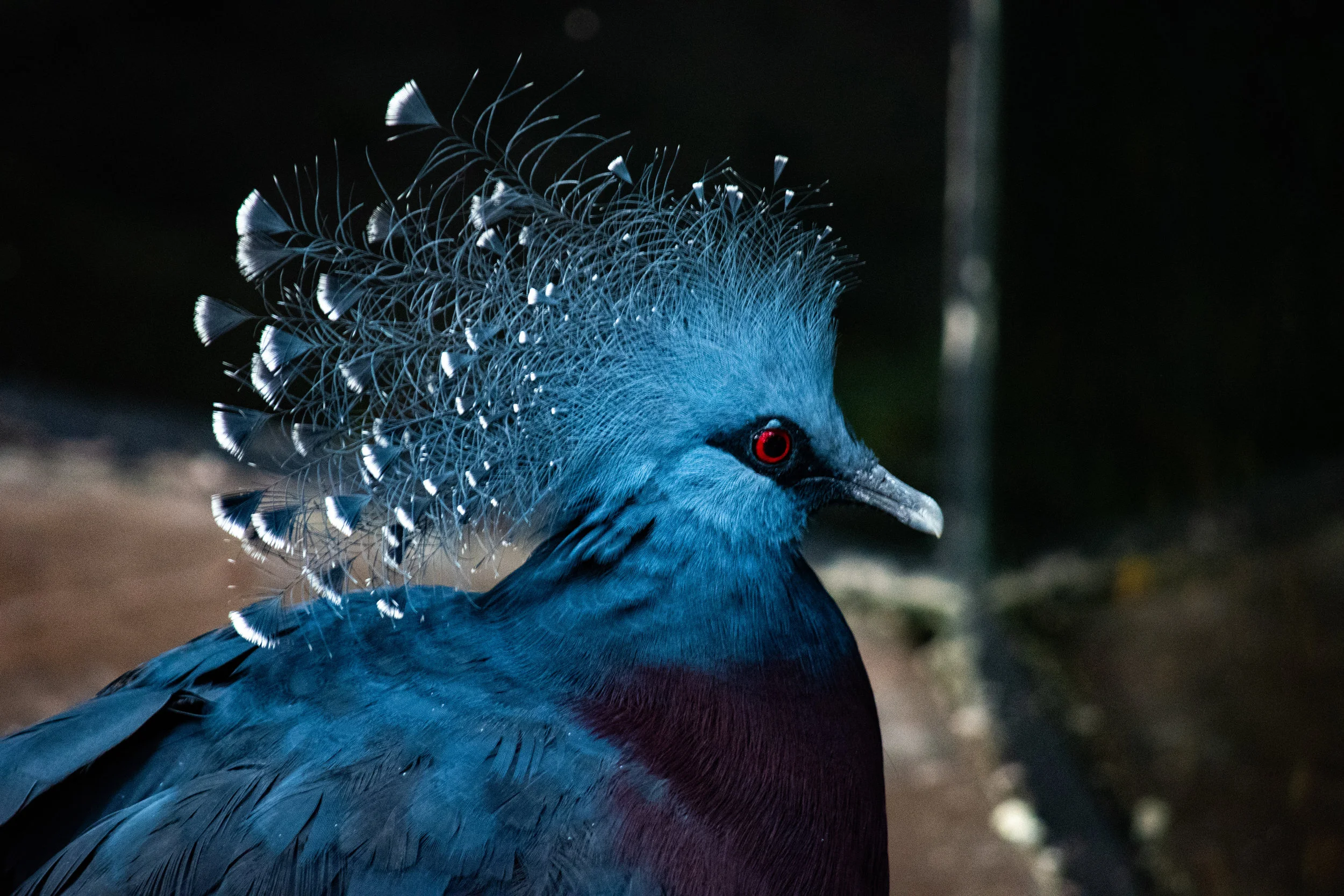 zoo 76.jpg