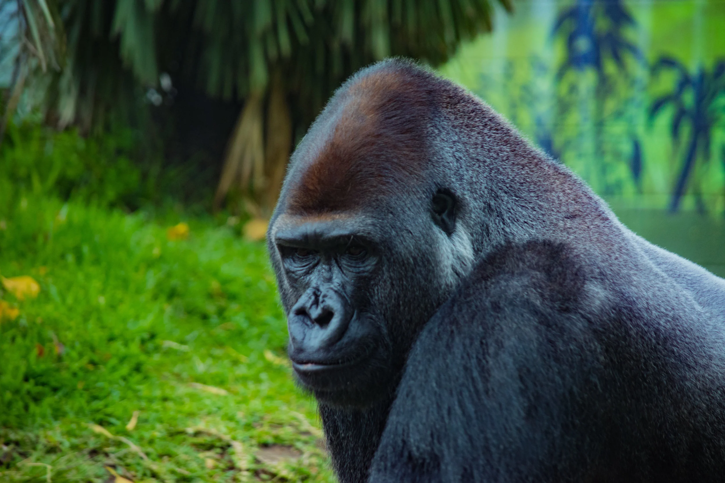 zoo 82.jpg