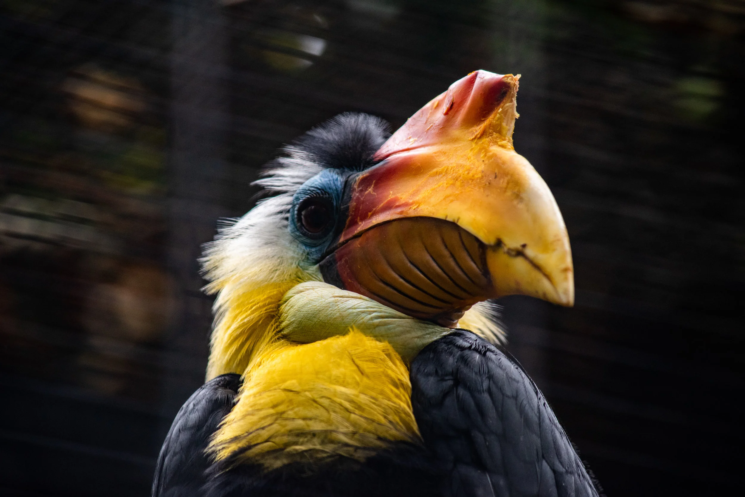 zoo 77.jpg