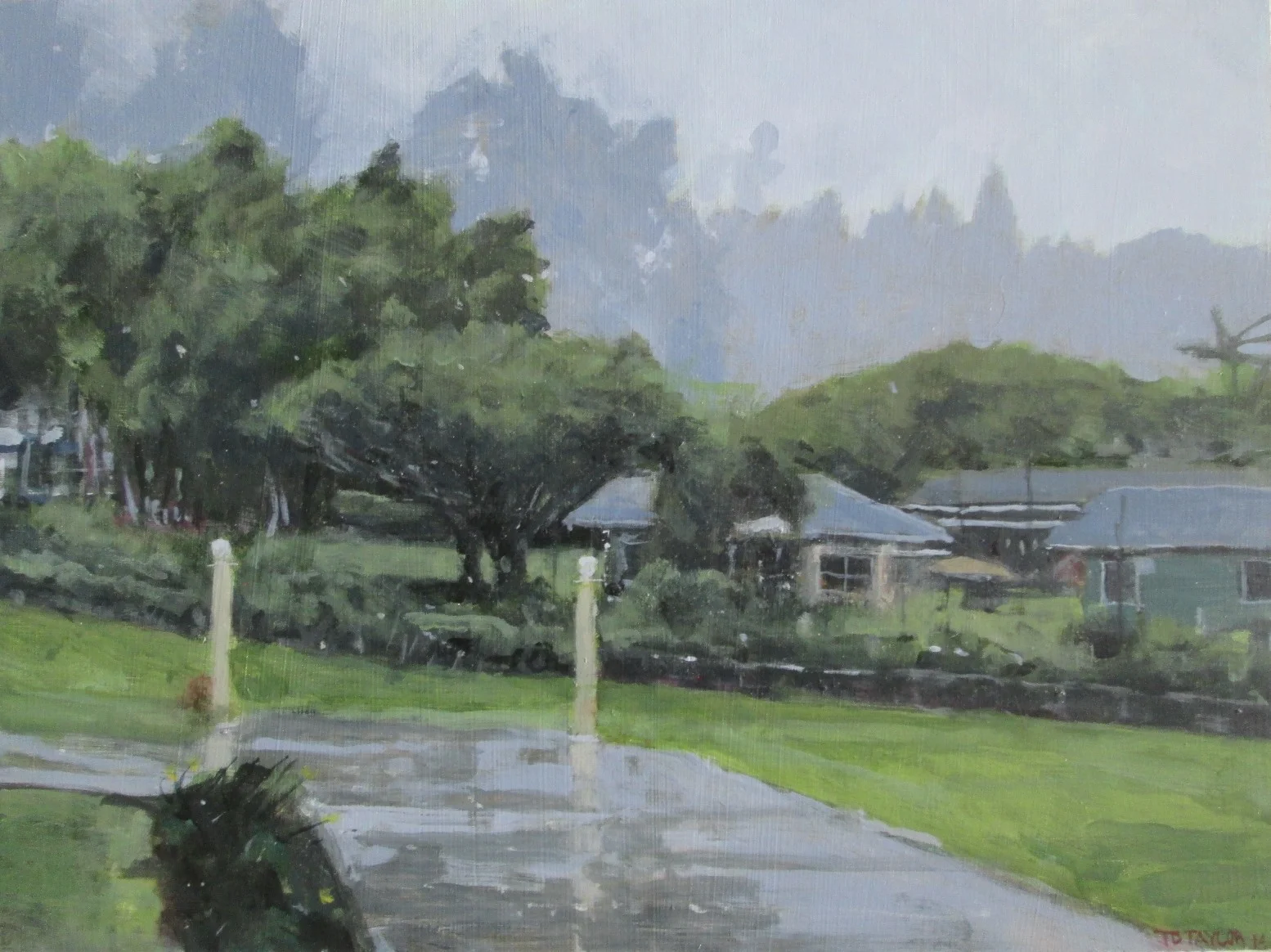 just before the rain, maui, hi.JPG