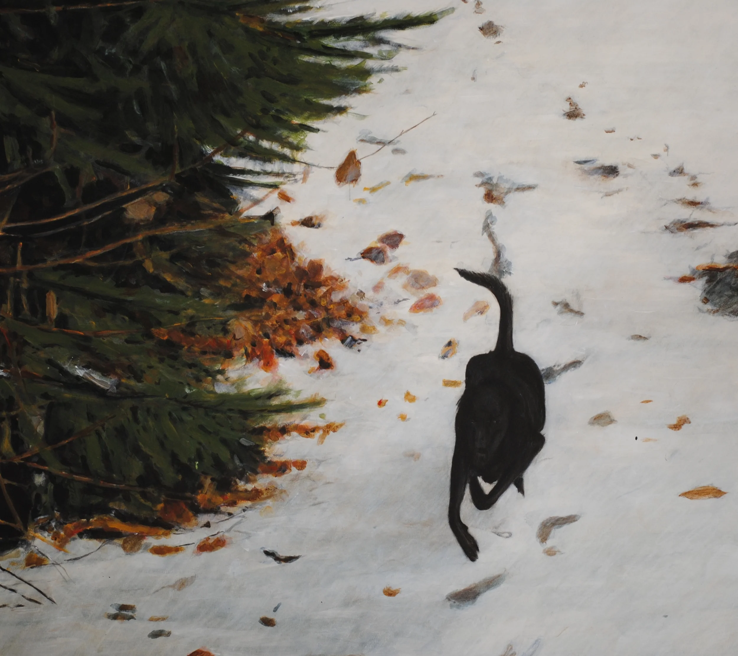 walk the dog, whistler b.c..JPG