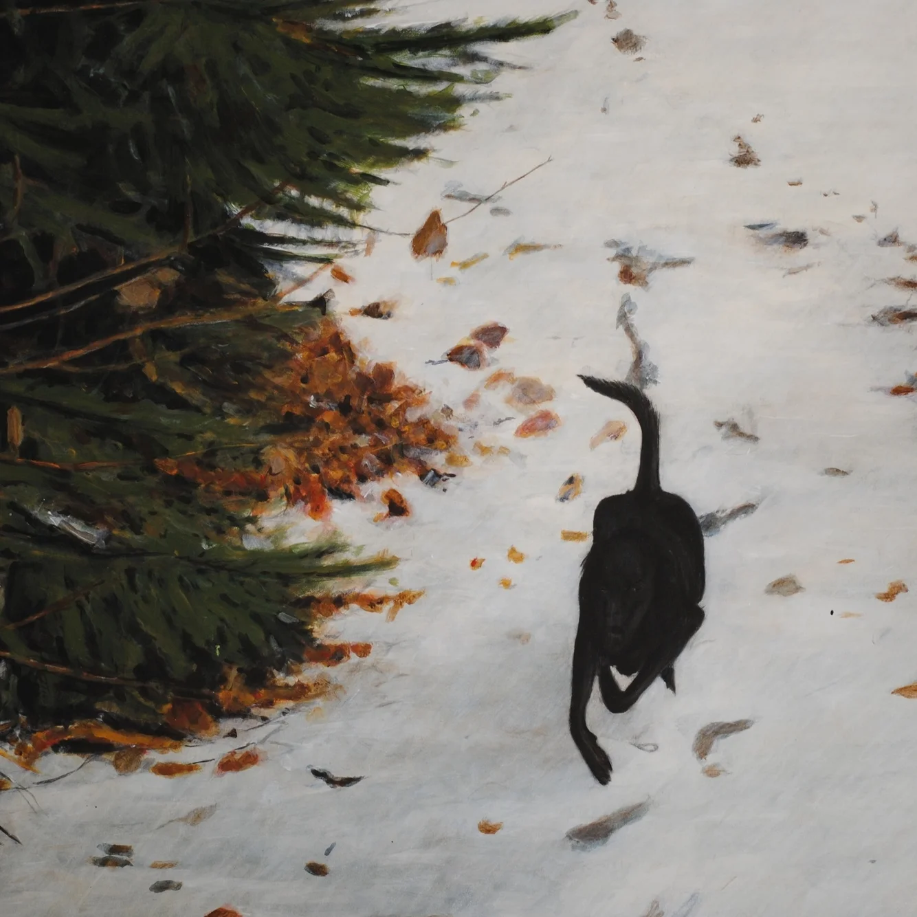 walk the dog, whistler b.c..JPG