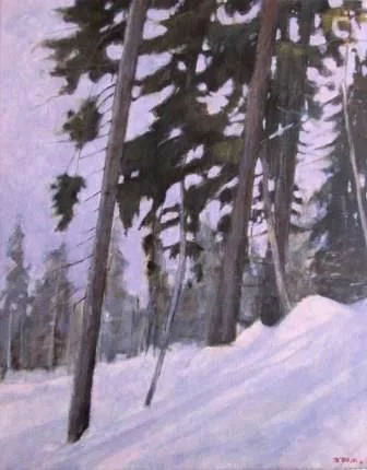 whistler trees.JPG