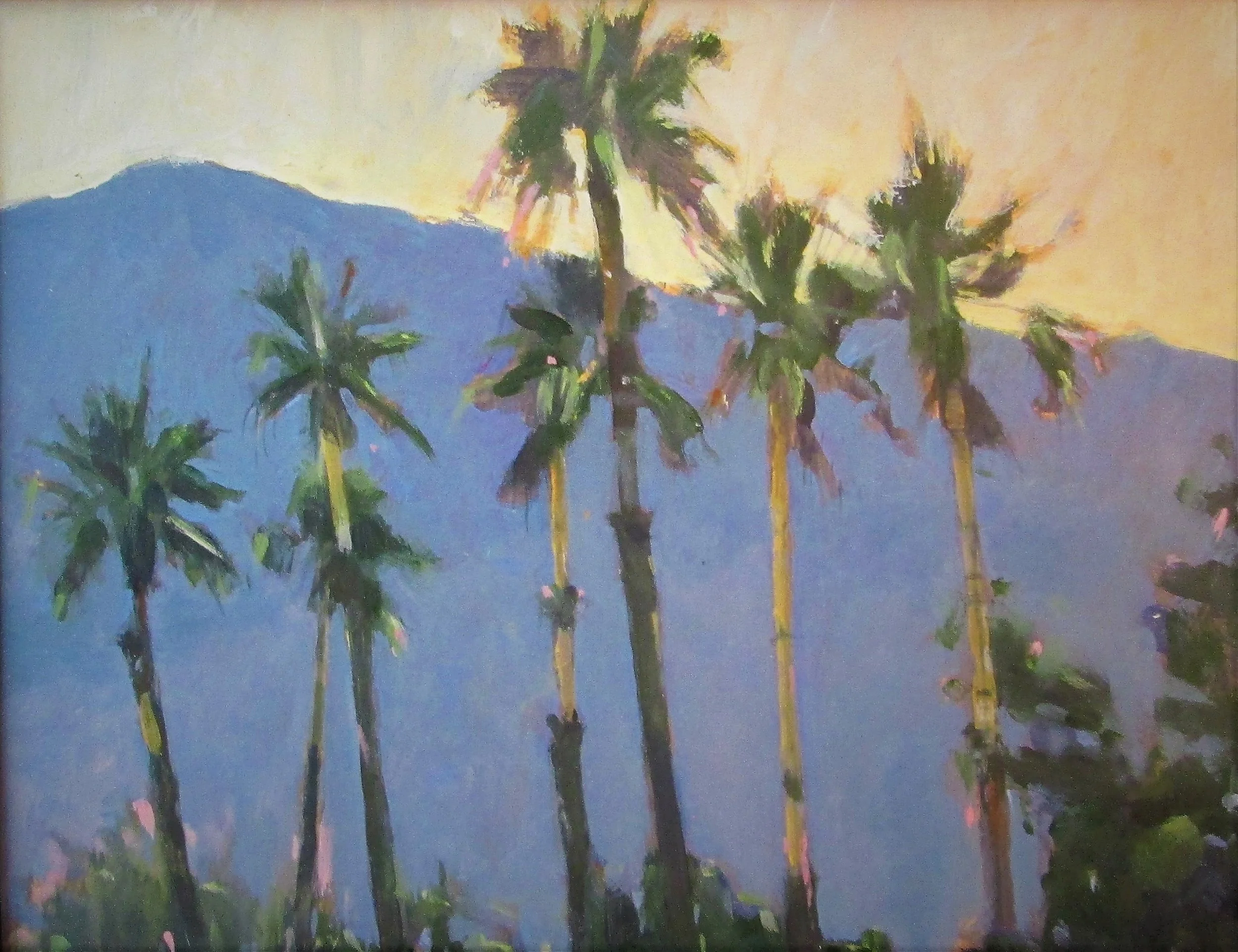 Palm Trees in Palm Springs.JPG