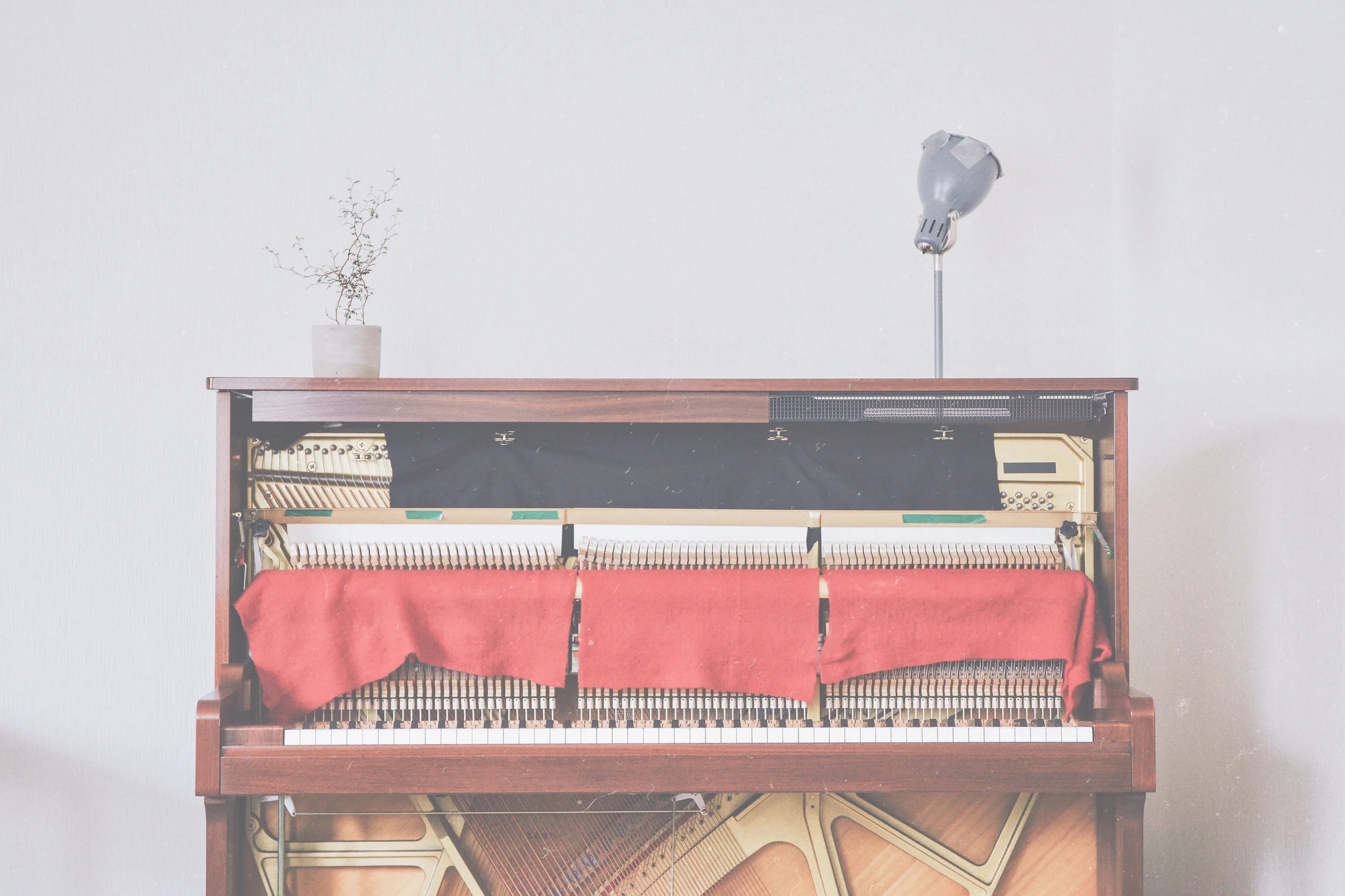 promofilmphoto_01.jpg