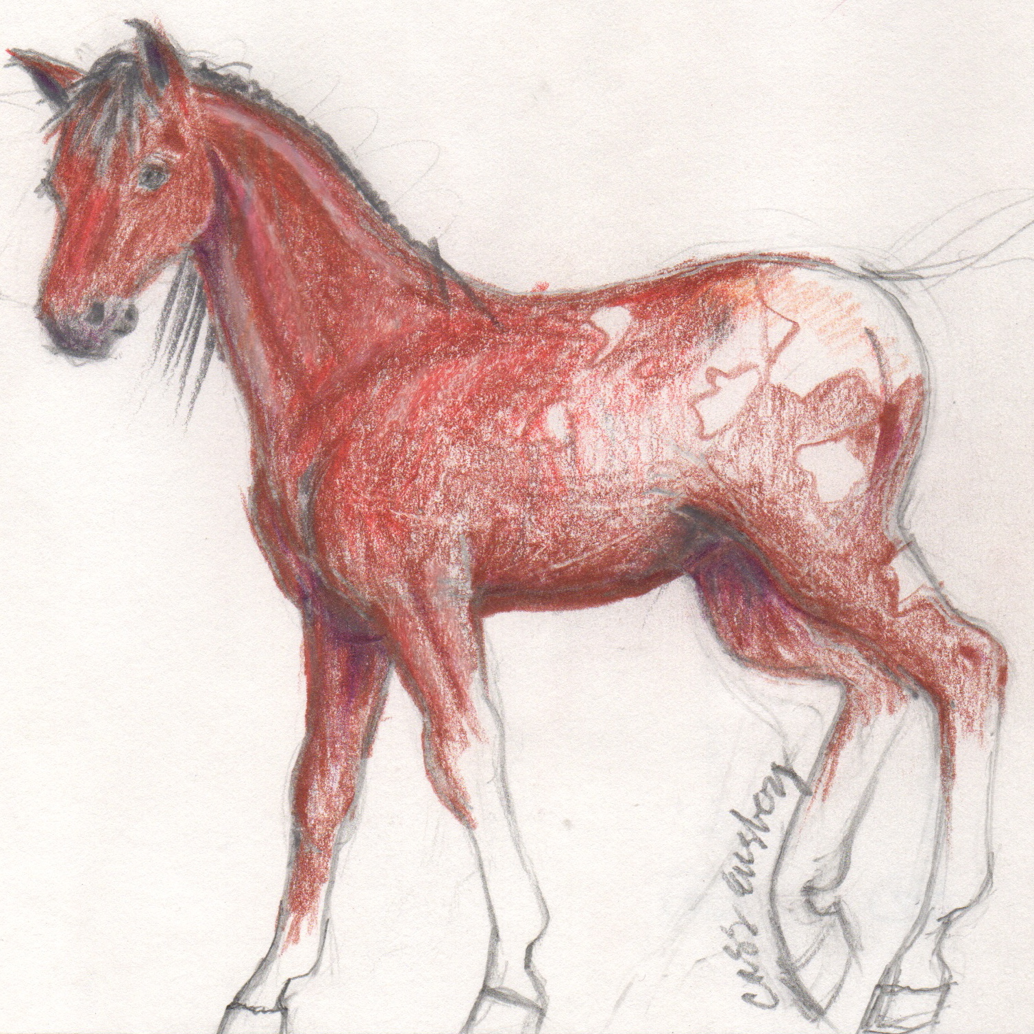 REVISED HORSE '86 #3_2.jpeg