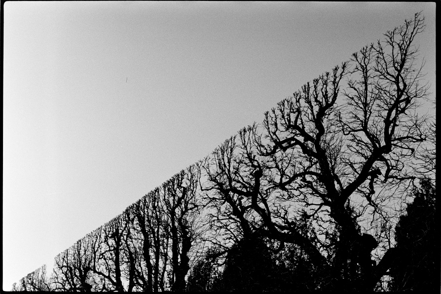 Vienna Schönbrunn