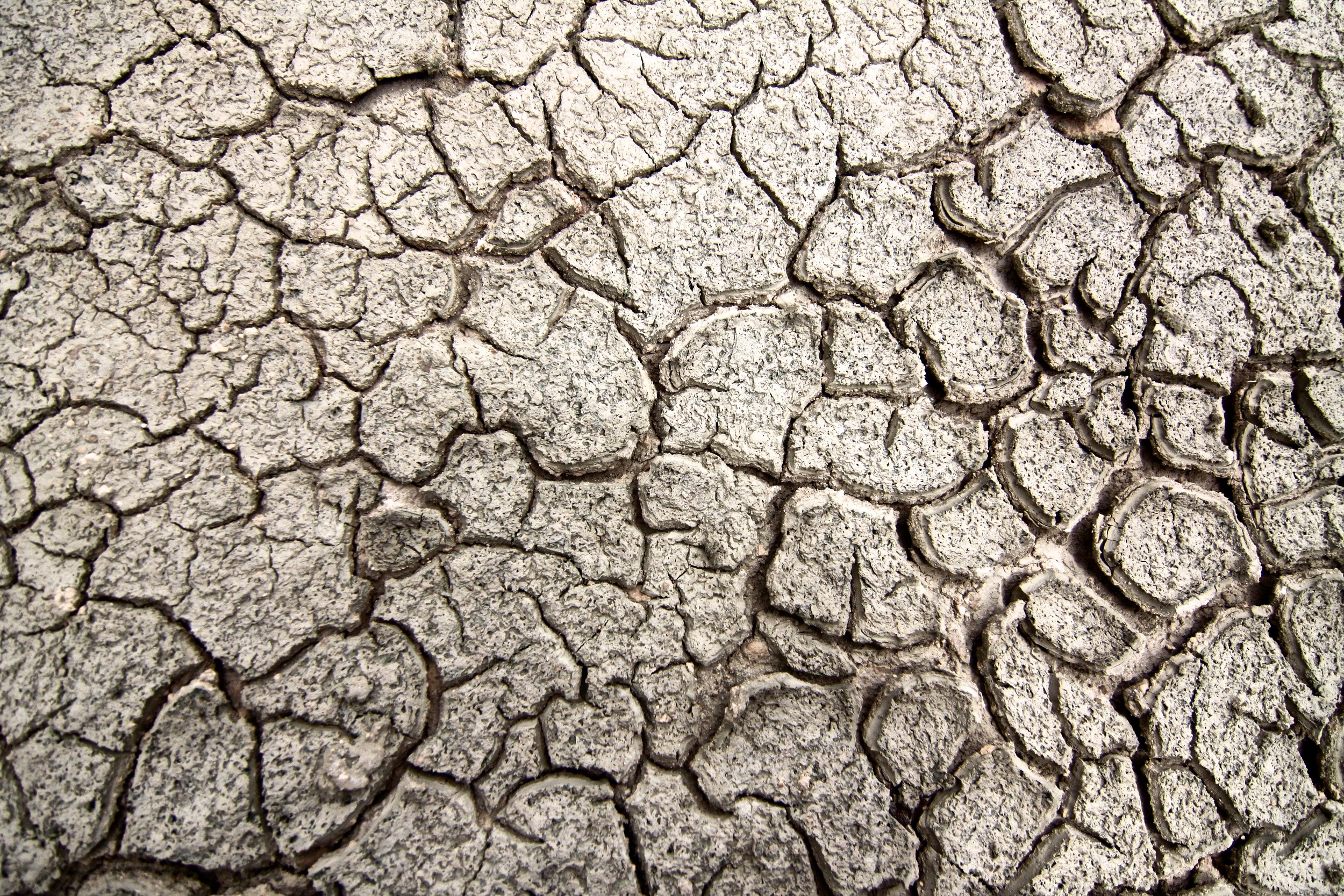 Etosha 4