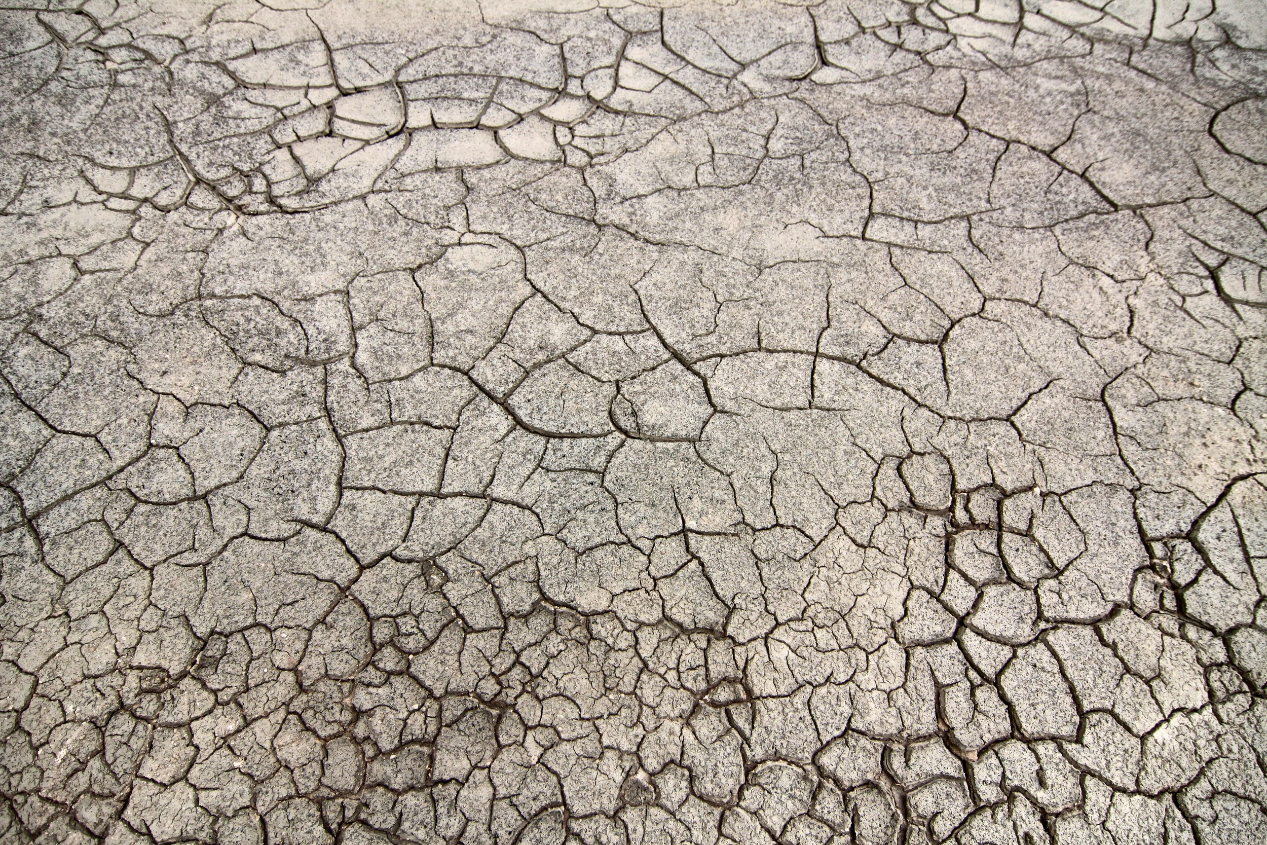 Etosha 3