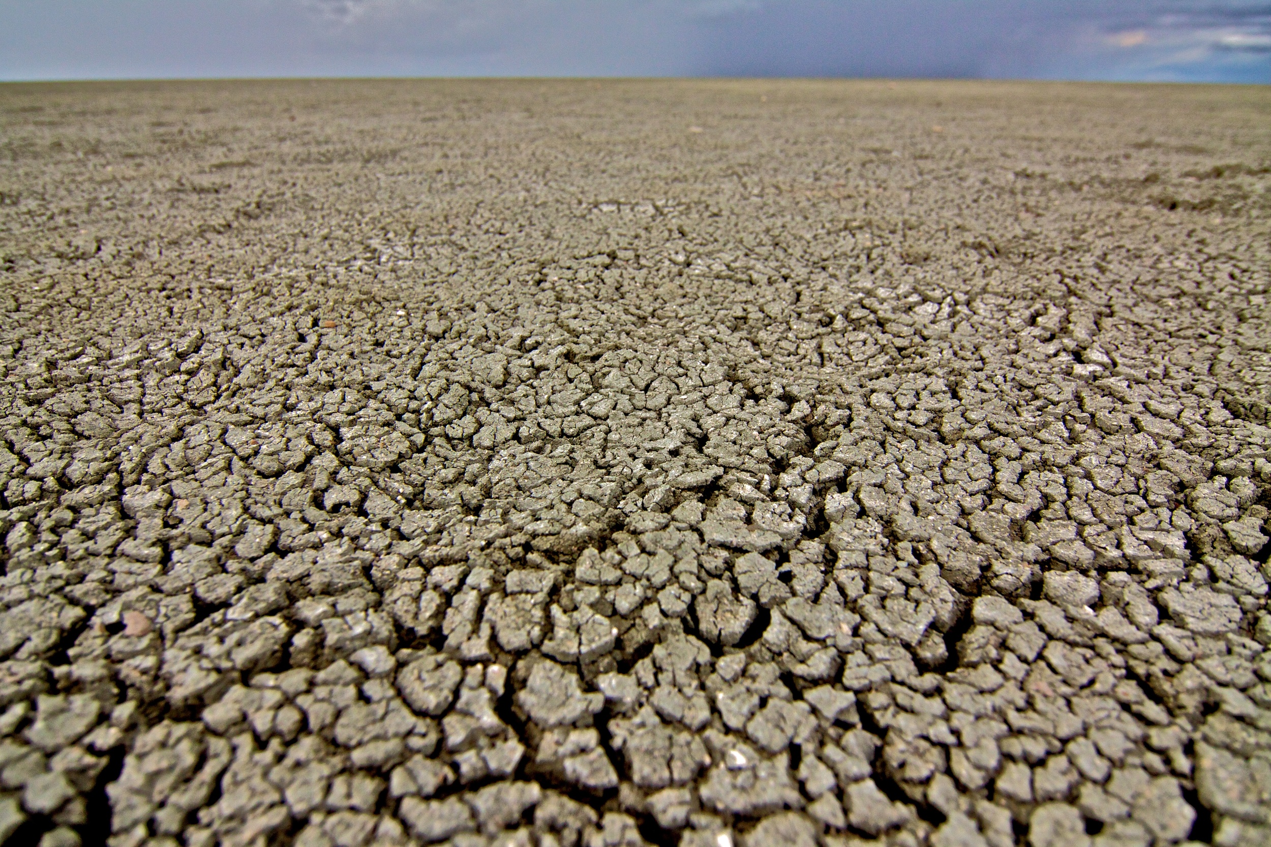 Etosha 7