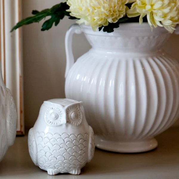 little-owl_01.jpg
