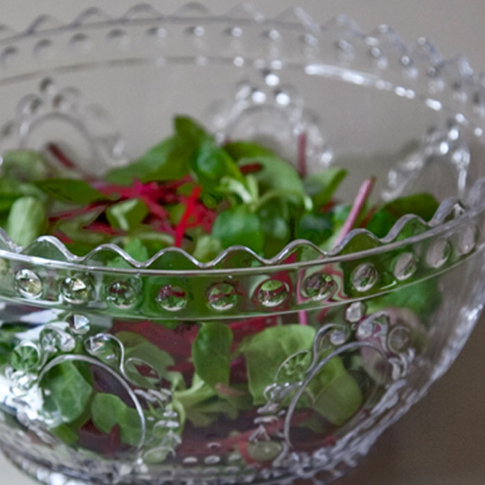 Plastic Salad Bowl 