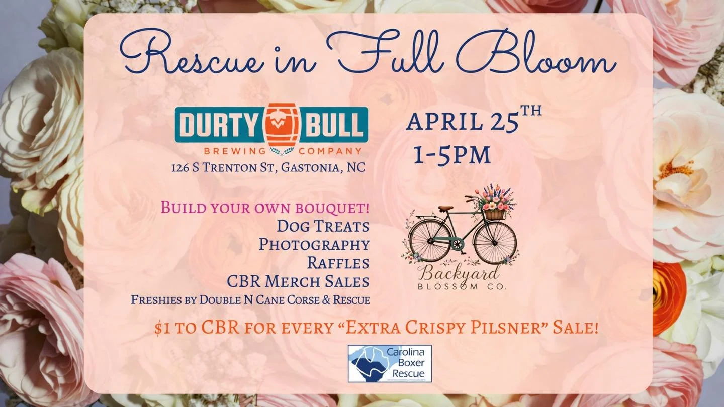 Today&rsquo;s the day! 🐶🌷
Come out and support Carolina Boxer Rescue&mdash;build your own bouquet, shop local vendors, and grab some dog treats from Kelly&rsquo;s K9 Kitchen (while they last!).
Don&rsquo;t forget to bring your furry friends!