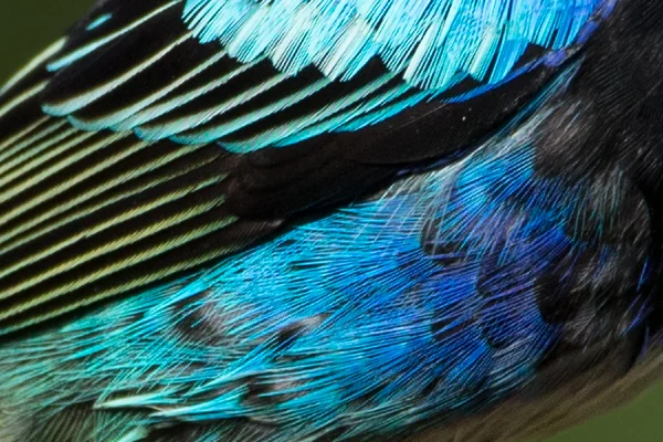 100% unsharpened crop