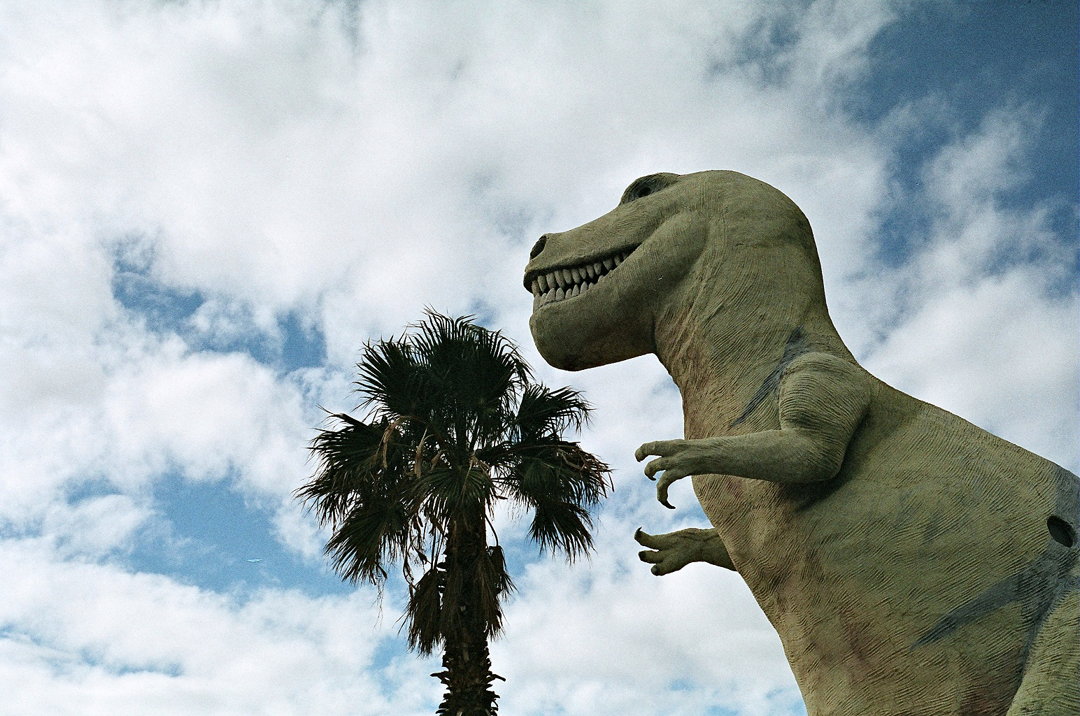 dino.jpg