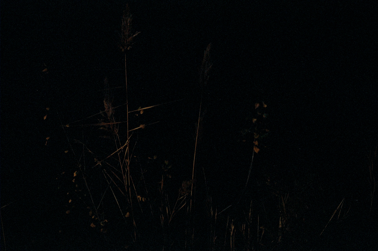 darkness.jpg