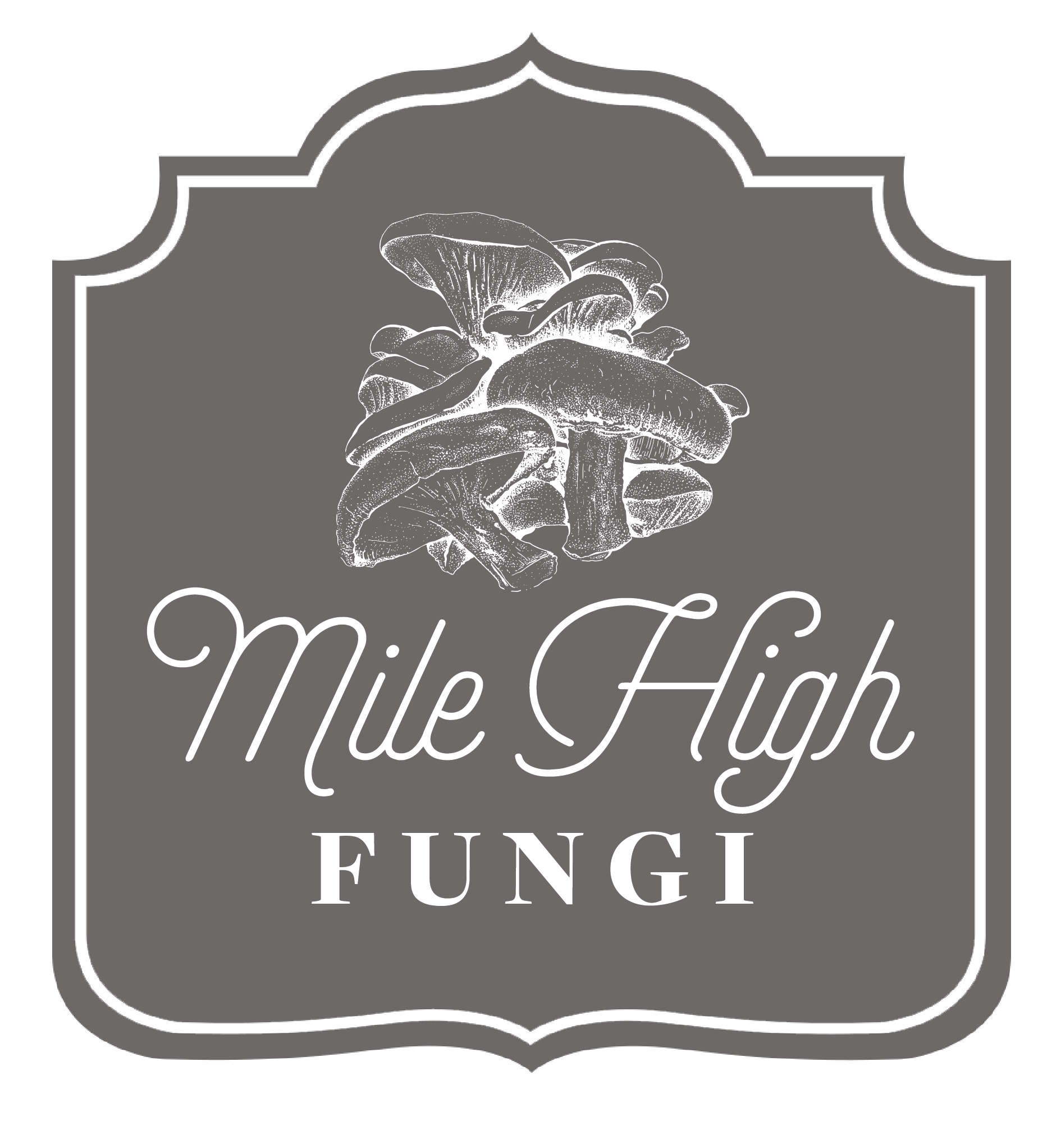 Mile High Fungi