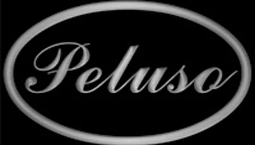 Peluso Microphone Labs builds outstanding studio recording microphones. Check out their lineup - www.pelusomicrophonelab.com