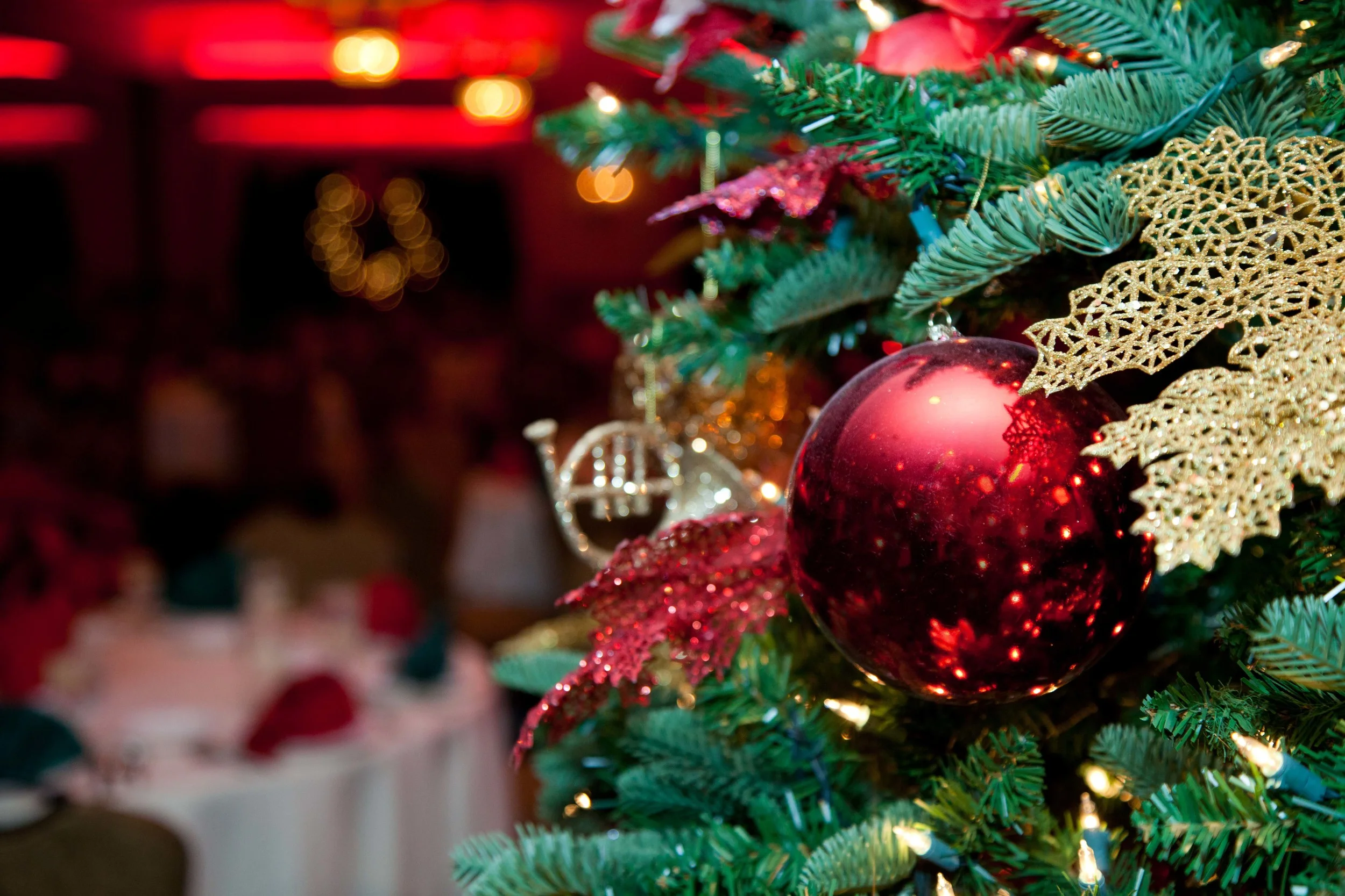 GLFHC Holiday Party 005.jpg