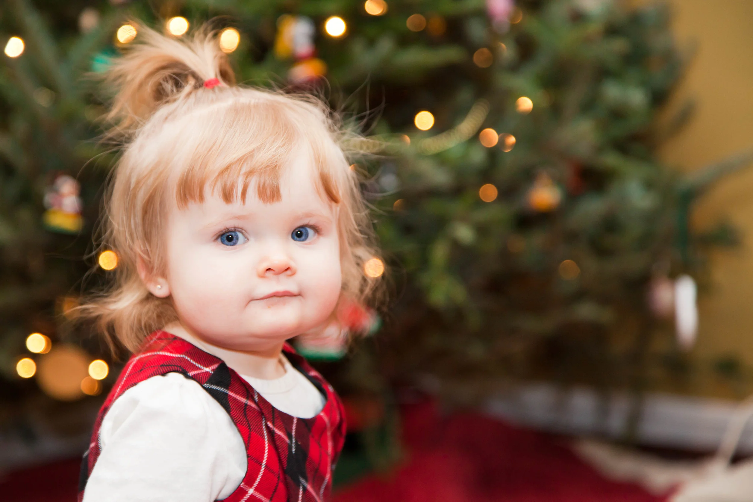 Addison Christmas 2012_35.jpg