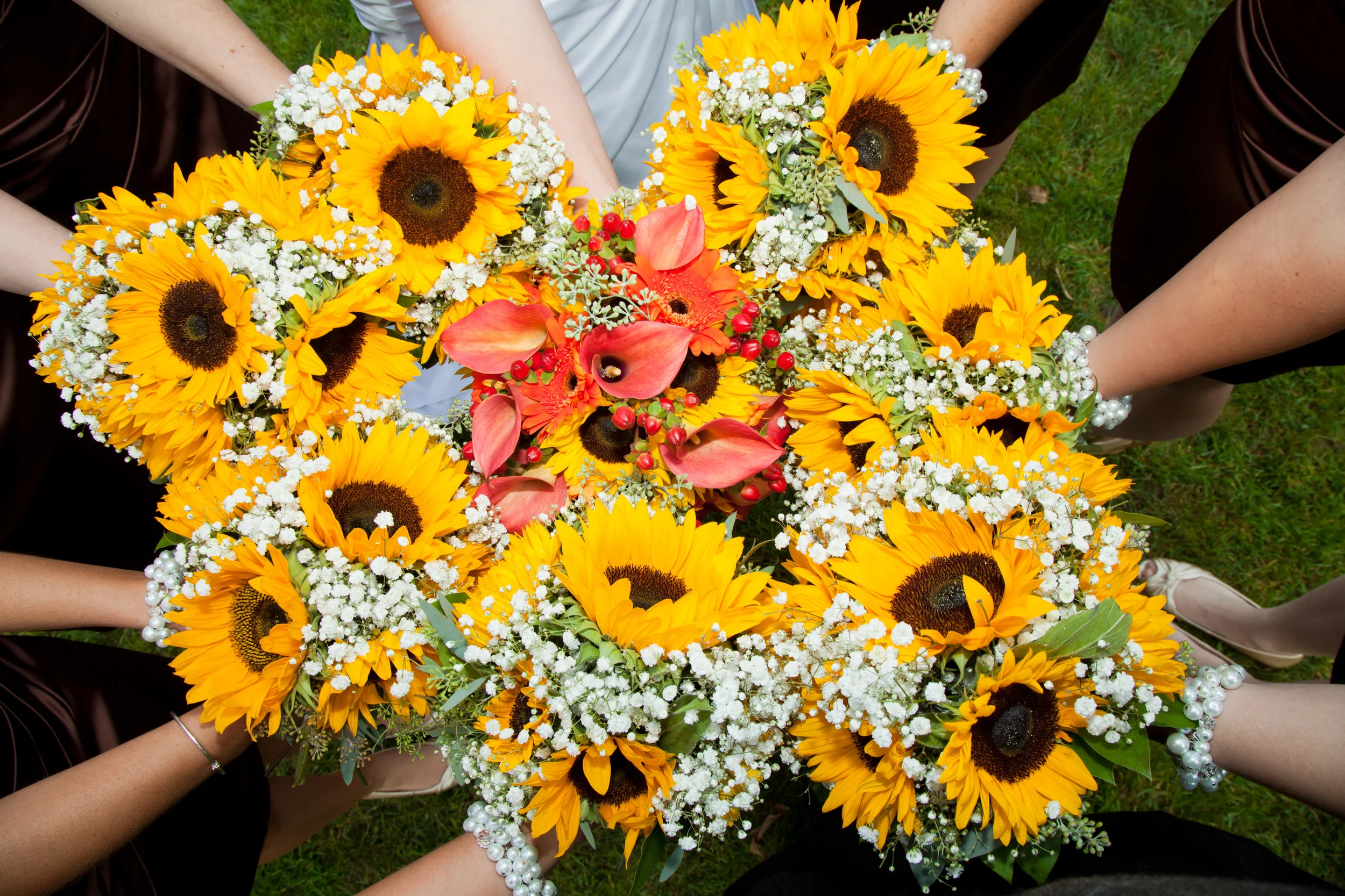 Melissa and Evan 228.jpg