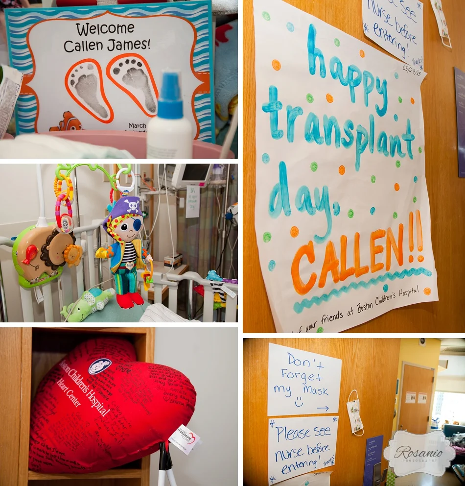 Rosanio Photography | Massachusetts Family Photographers