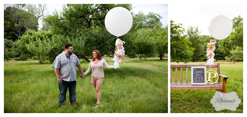 Rosanio Photography | Massachusetts Engagement Photographer | Stevens-Coolidge Place Engagement Session_0005.jpg