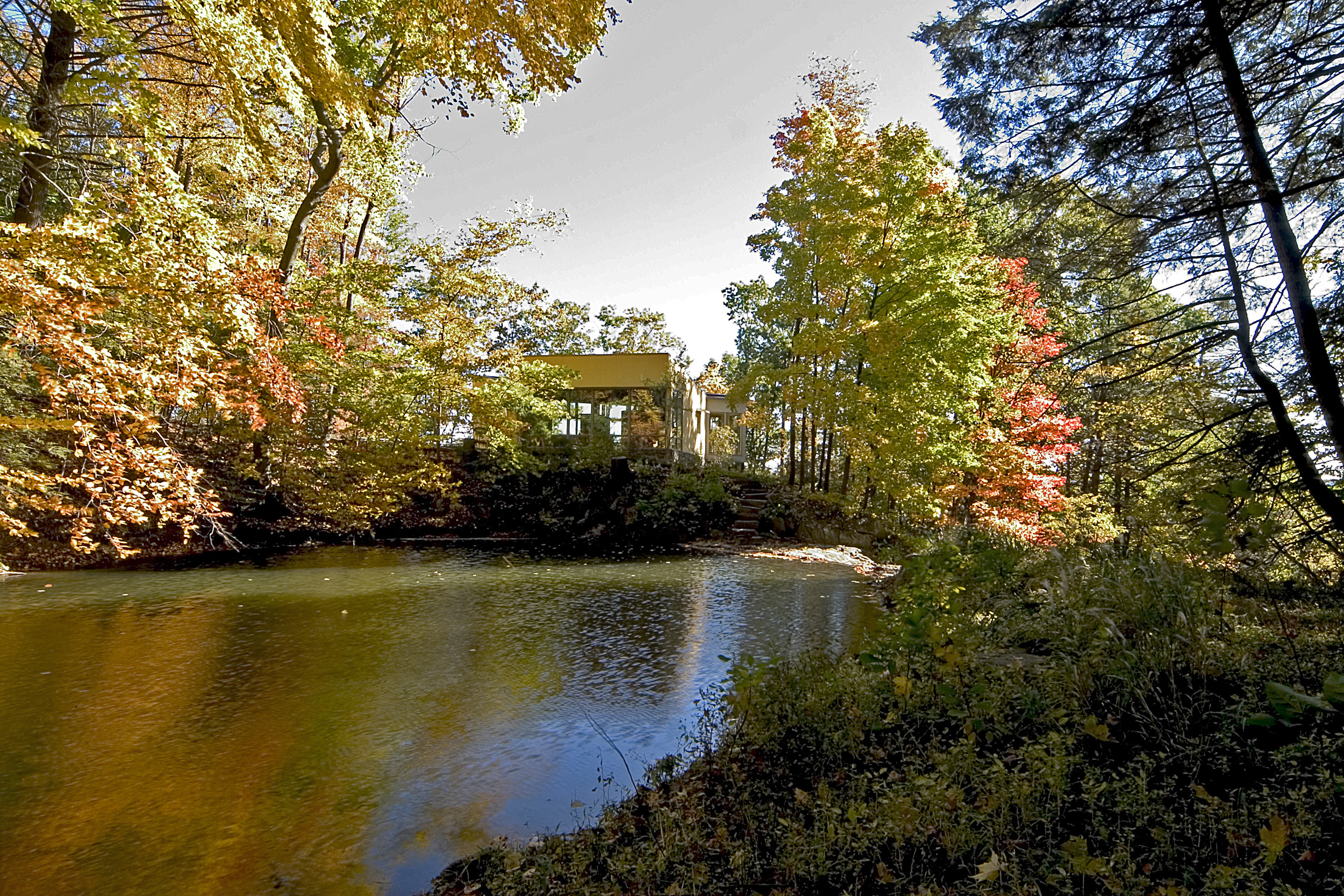 The Landscape