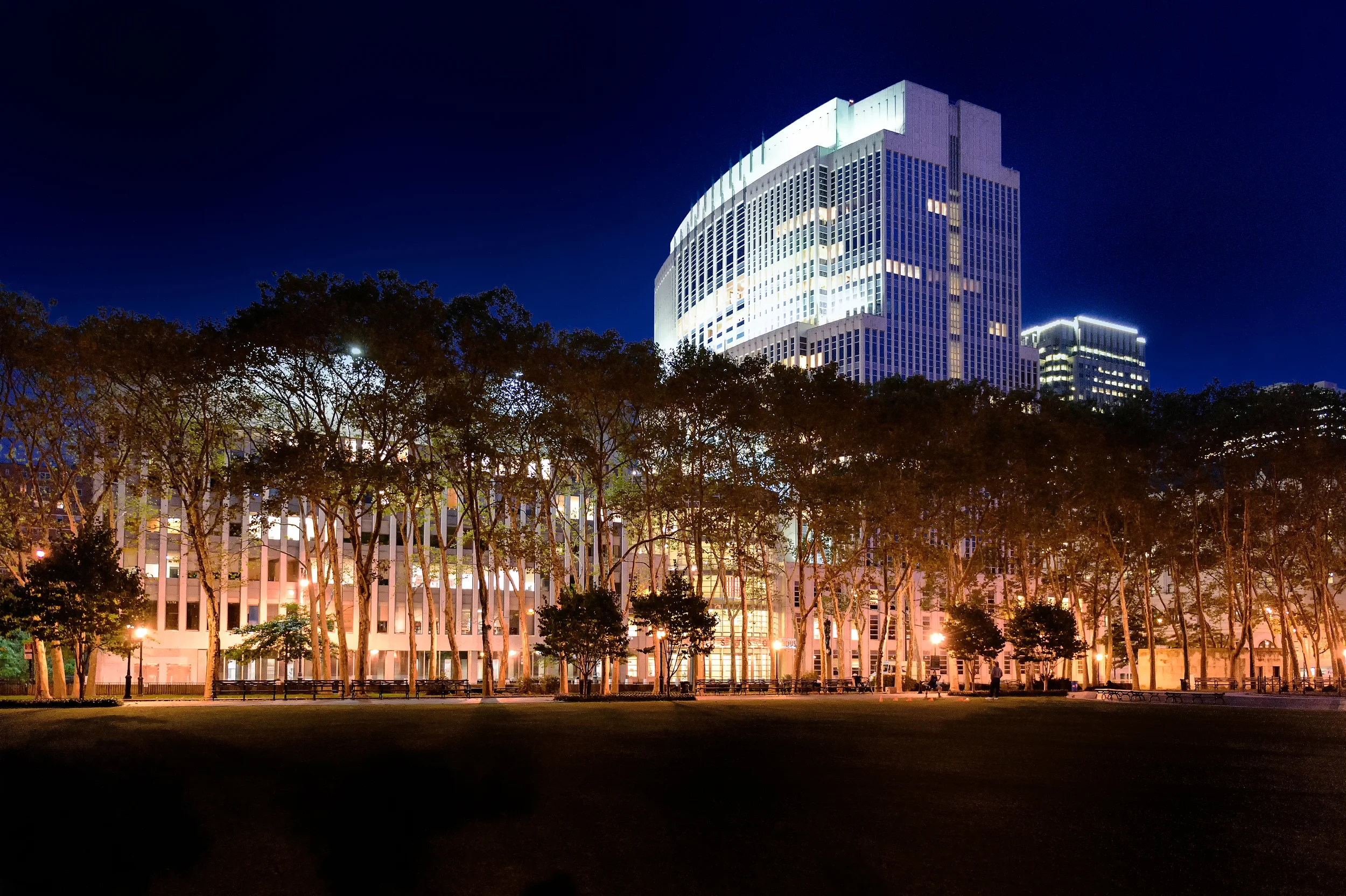 Diacritical - nightshot from park.jpg