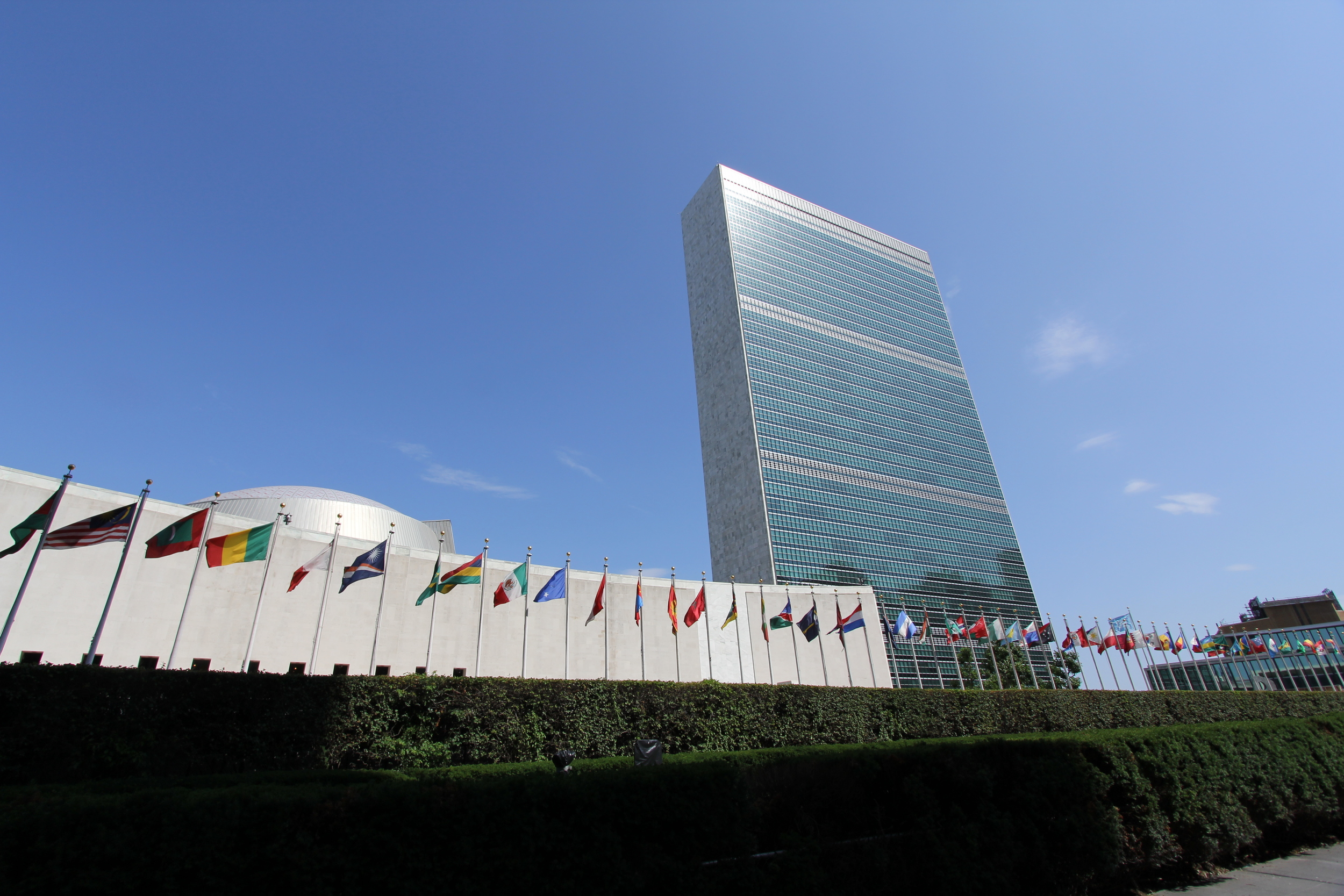 United Nations General Assembly