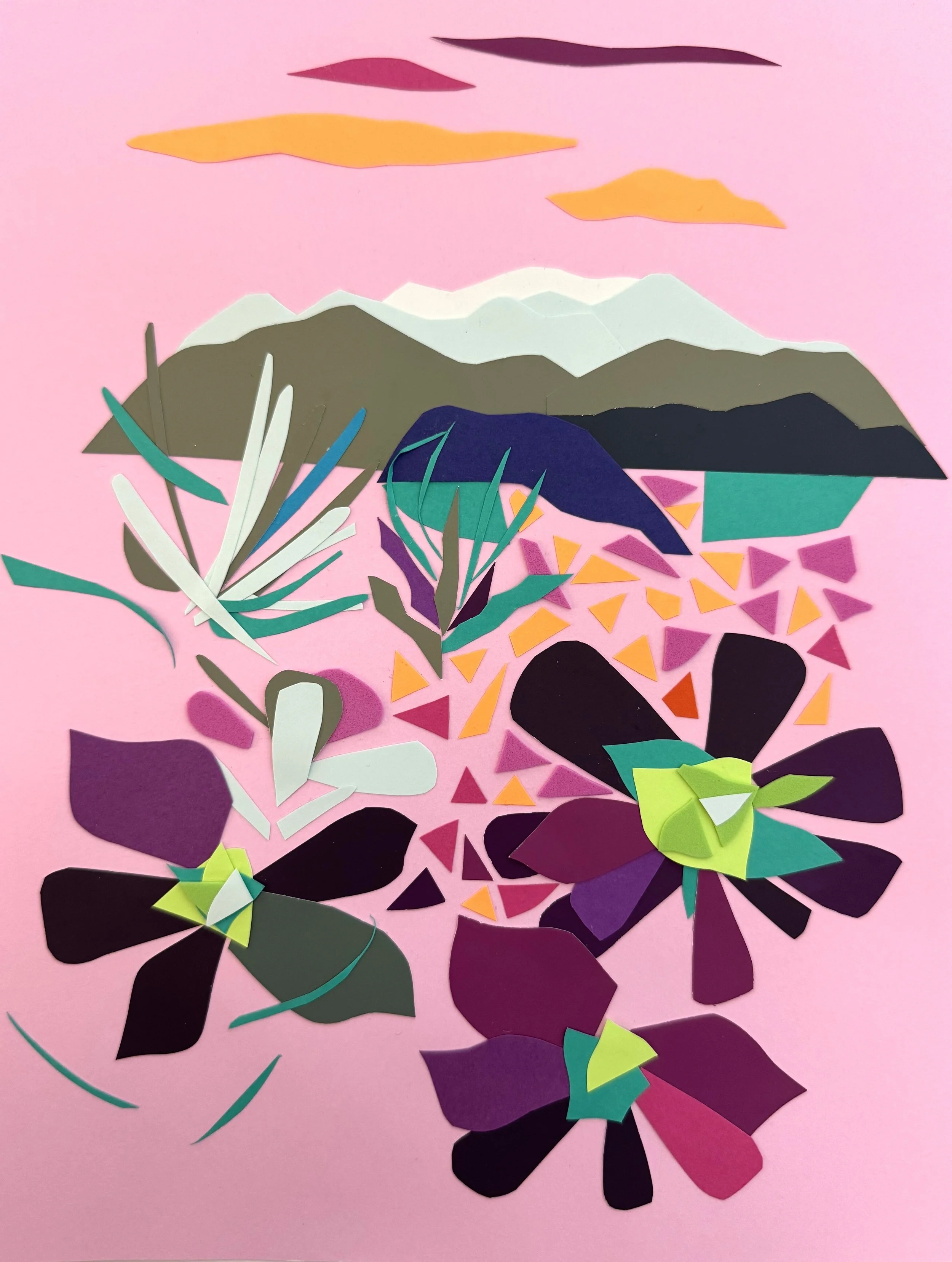 Karpman_Deb_Mountains and Succulents.jpeg