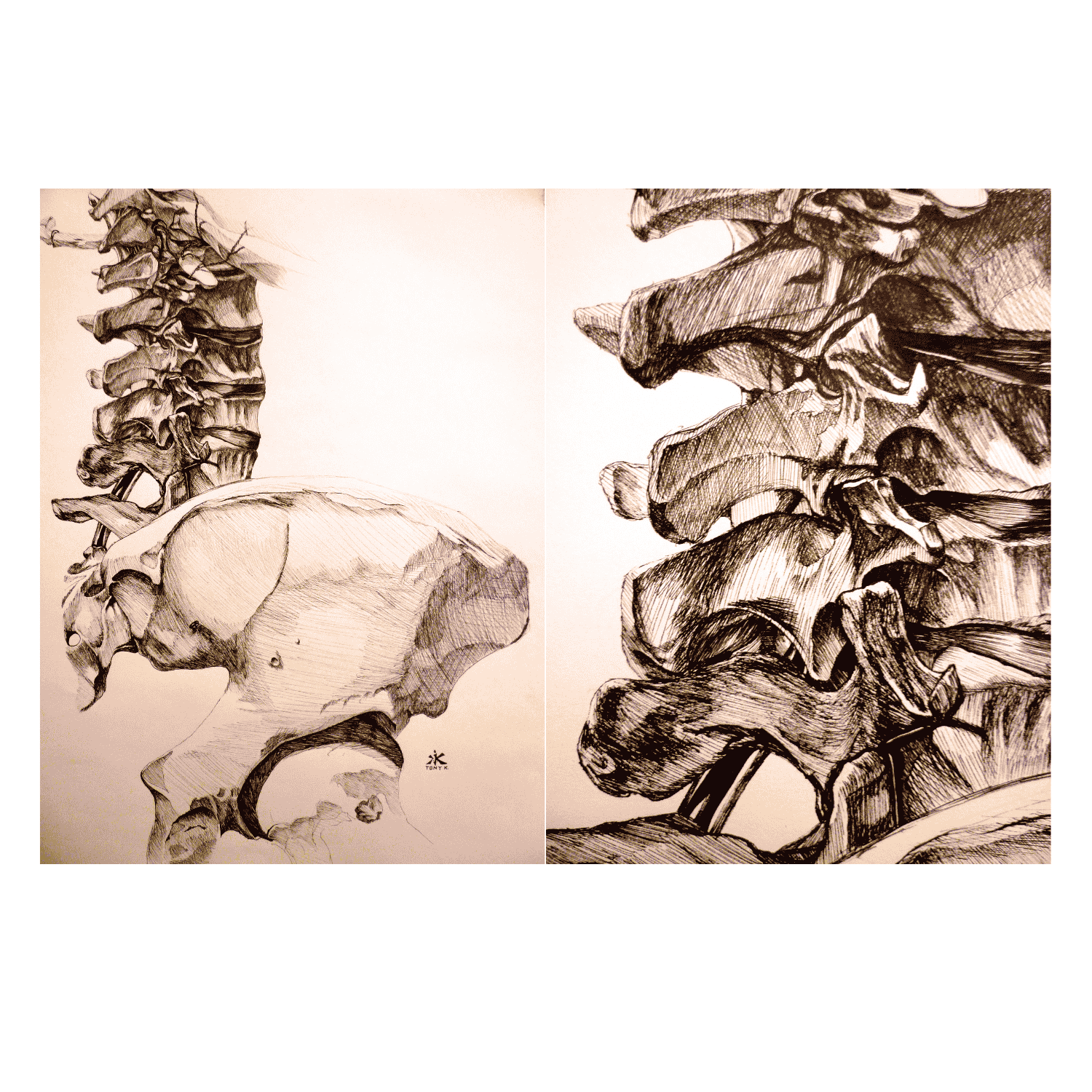 Copy of Copy of Copy of Copy of Copy of Copy of Copy of Copy of Copy of Untitled (24).png