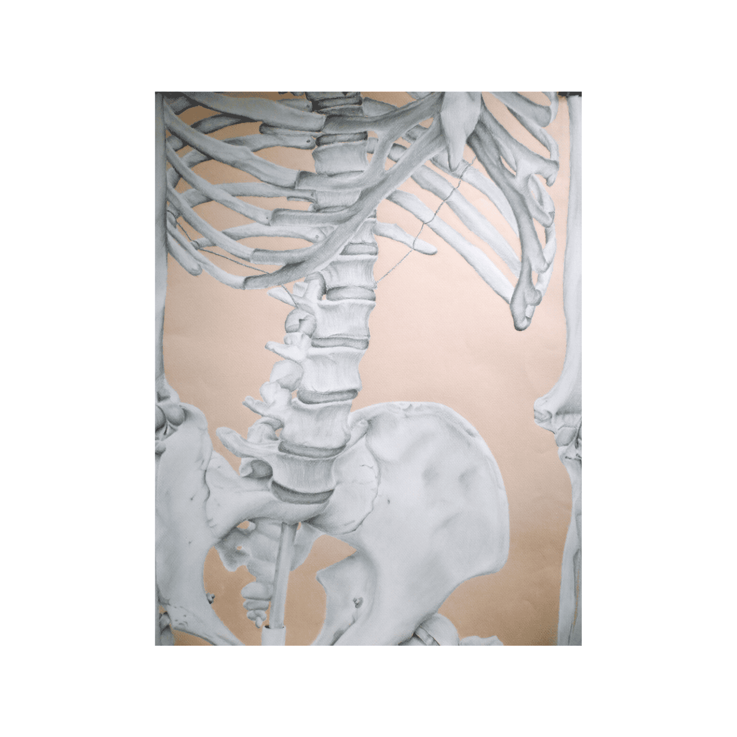 Copy of Copy of Copy of Copy of Copy of Copy of Copy of Copy of Copy of Untitled (20).png