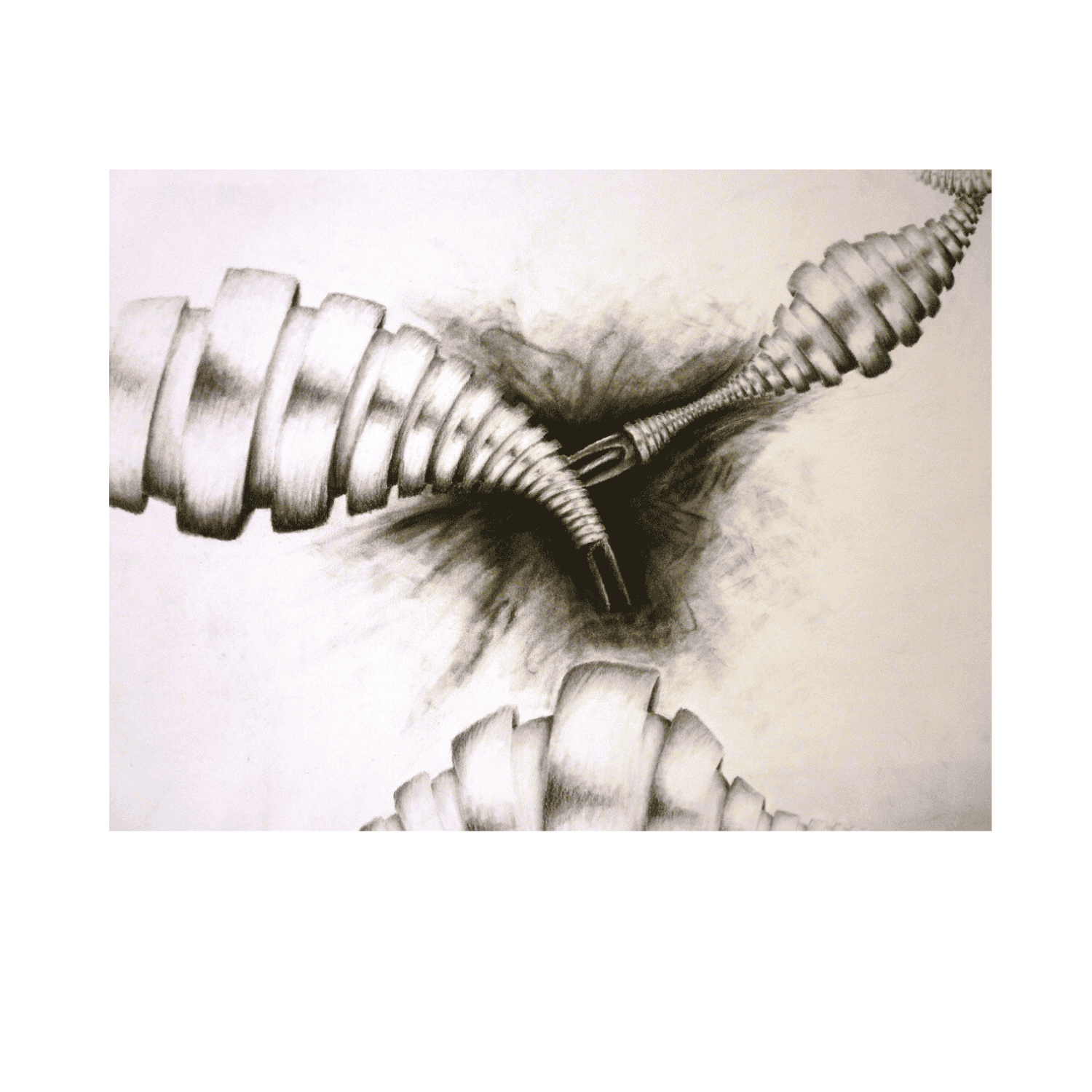 Copy of Copy of Copy of Copy of Copy of Copy of Copy of Copy of Copy of Untitled (14).png