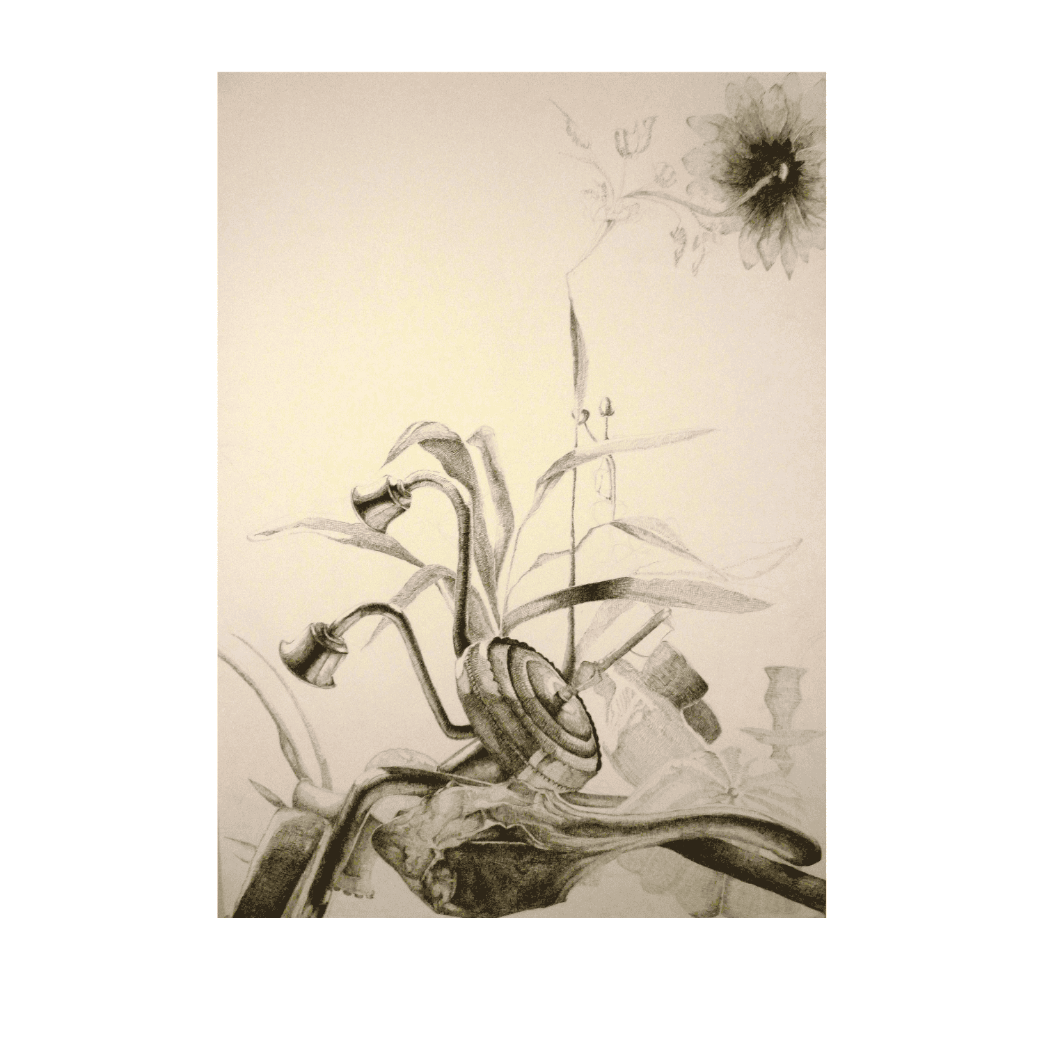 Copy of Copy of Copy of Copy of Copy of Copy of Copy of Copy of Copy of Untitled (42).png