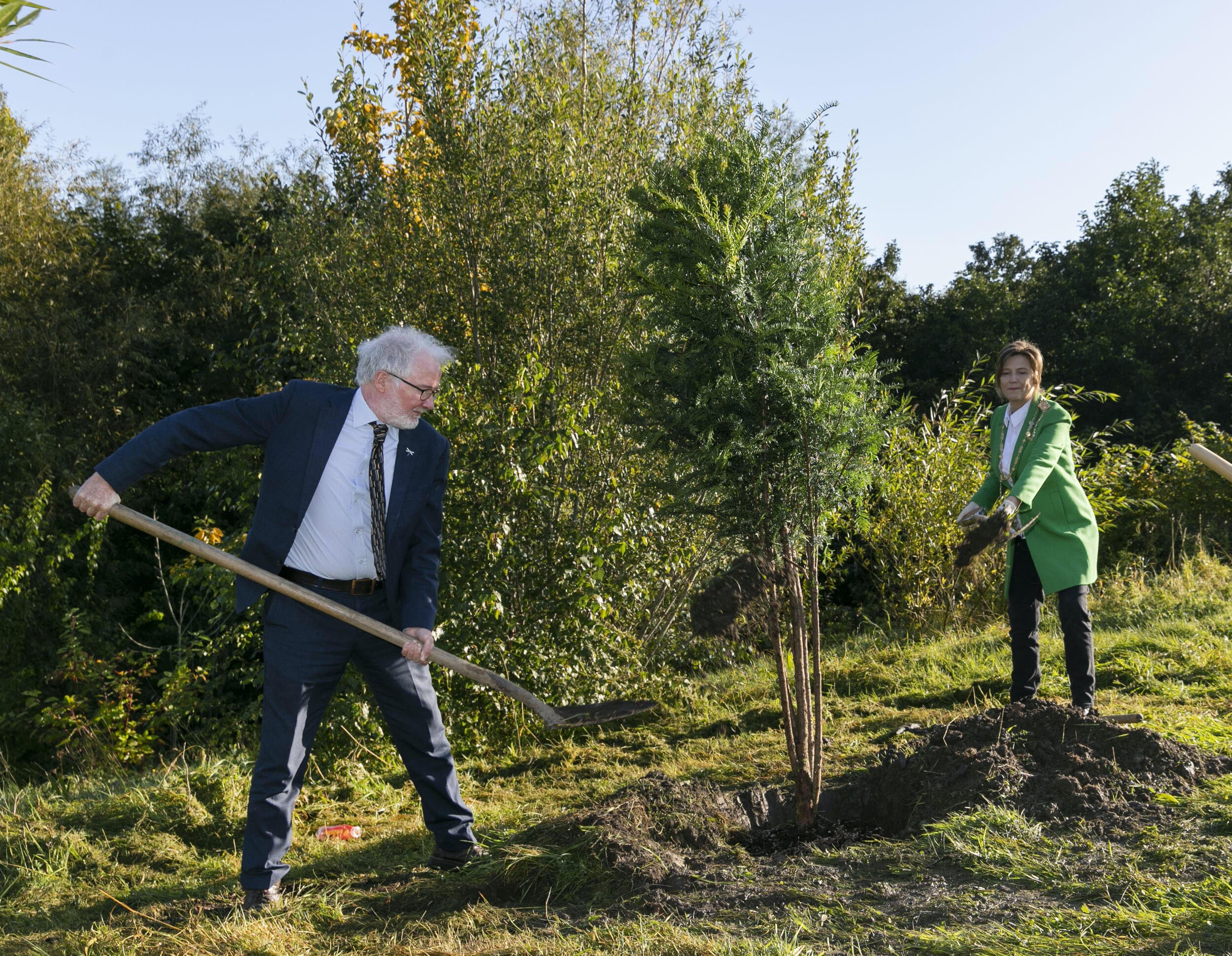 Tree Planting 1.jpg