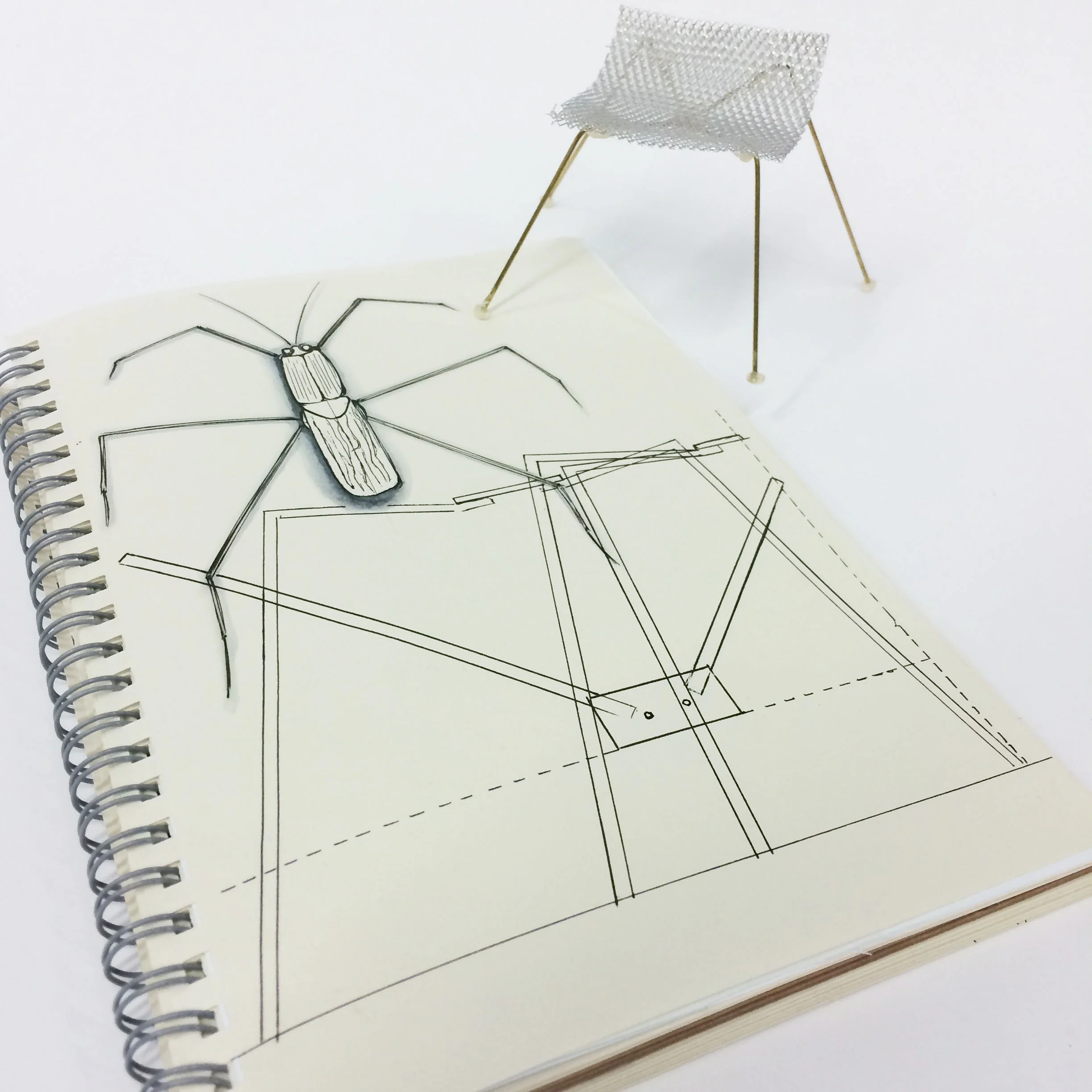 The Gerridae Stool