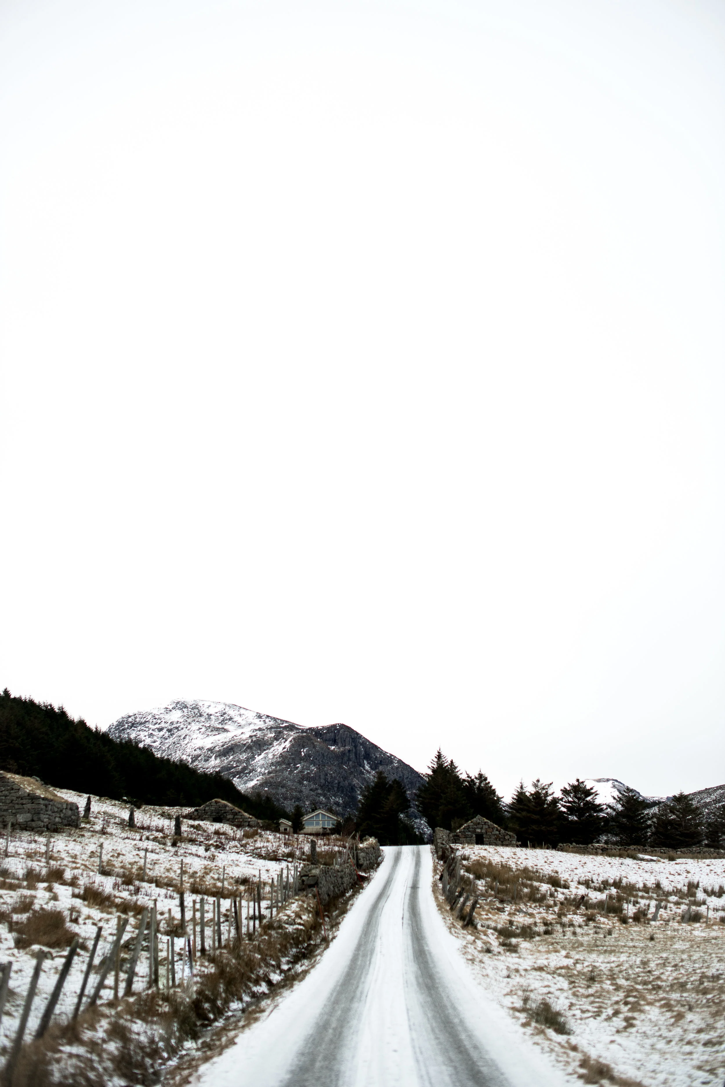 DSC_7867.jpg