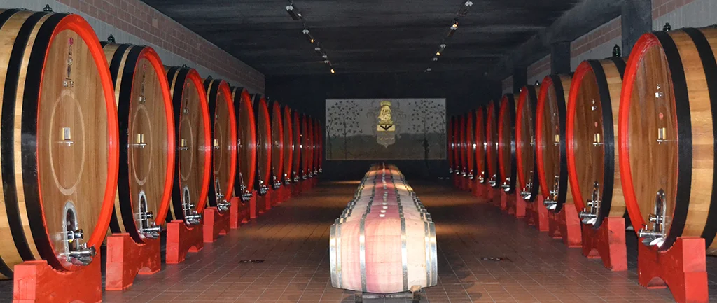 MOLINELLO CELLAR.jpg
